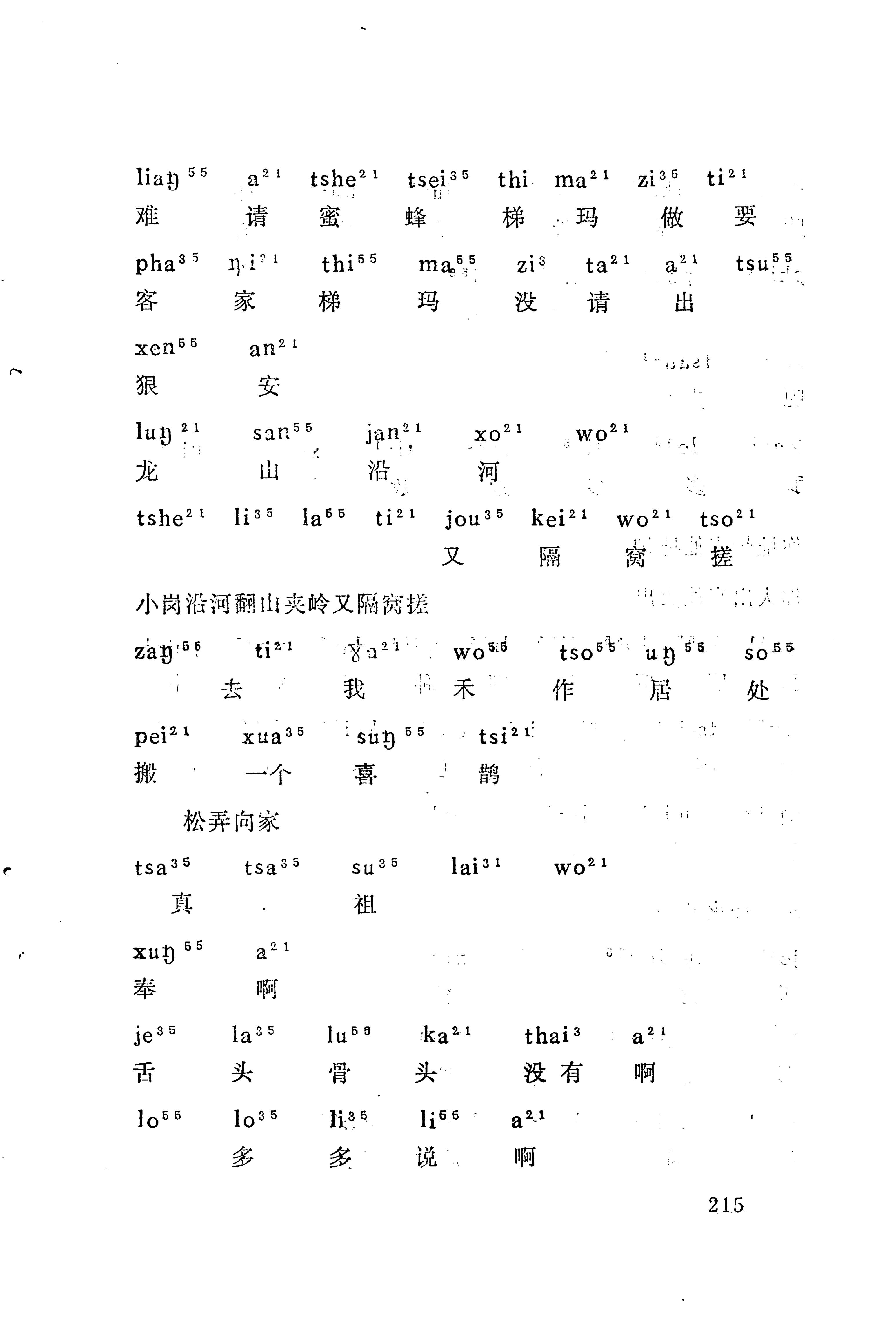 梯玛歌_238.jpg