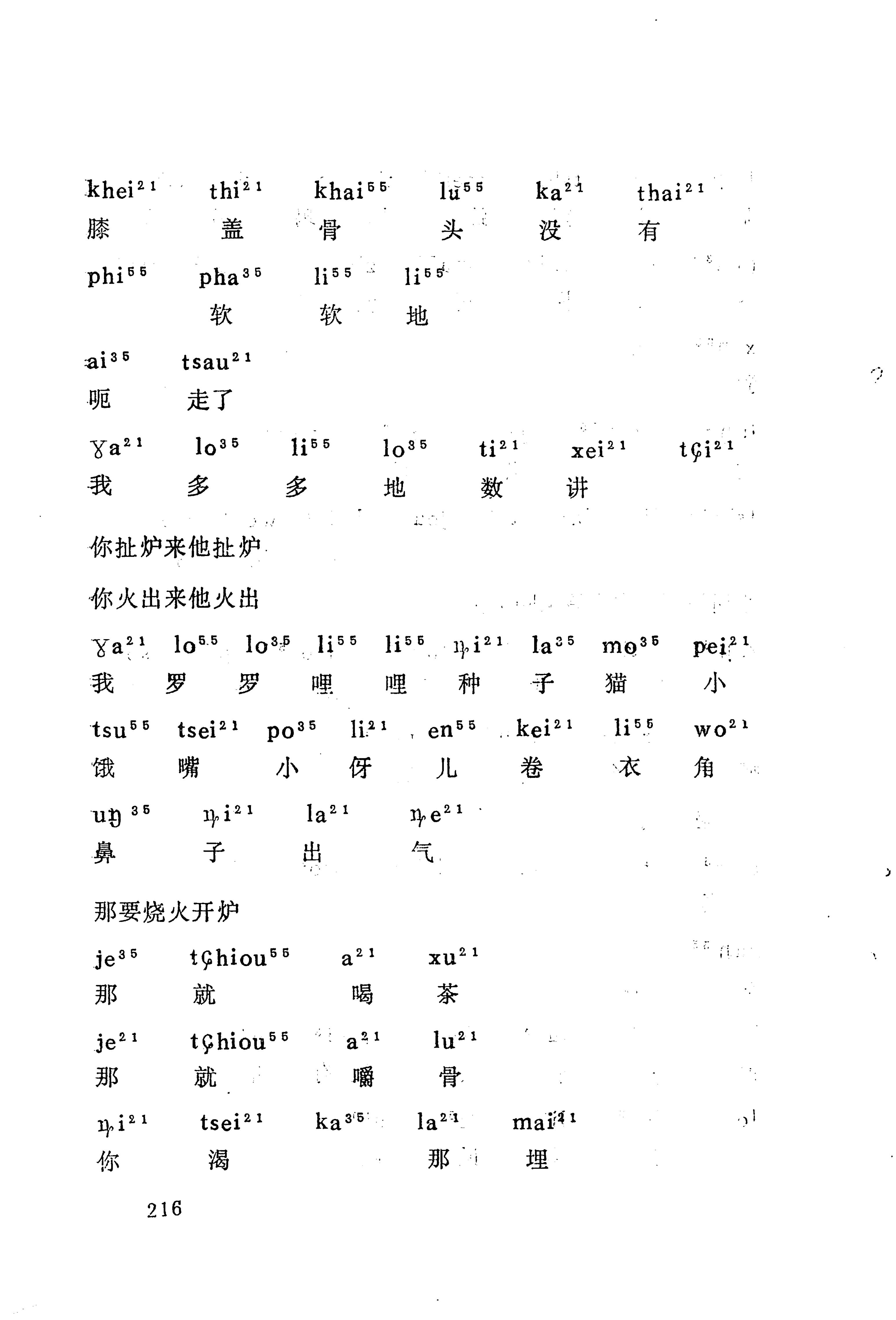 梯玛歌_239.jpg