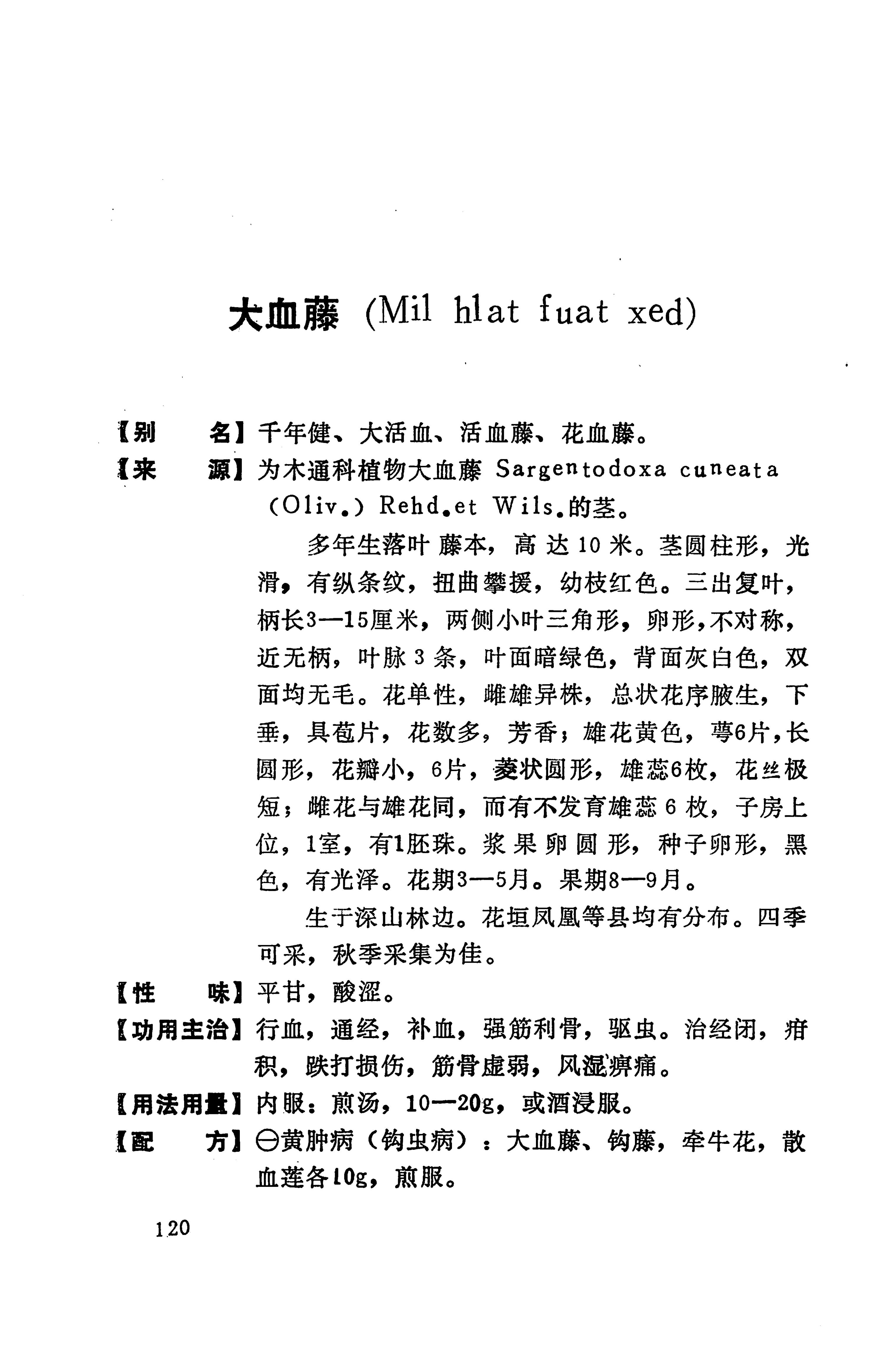湘西苗药汇编_138.jpg