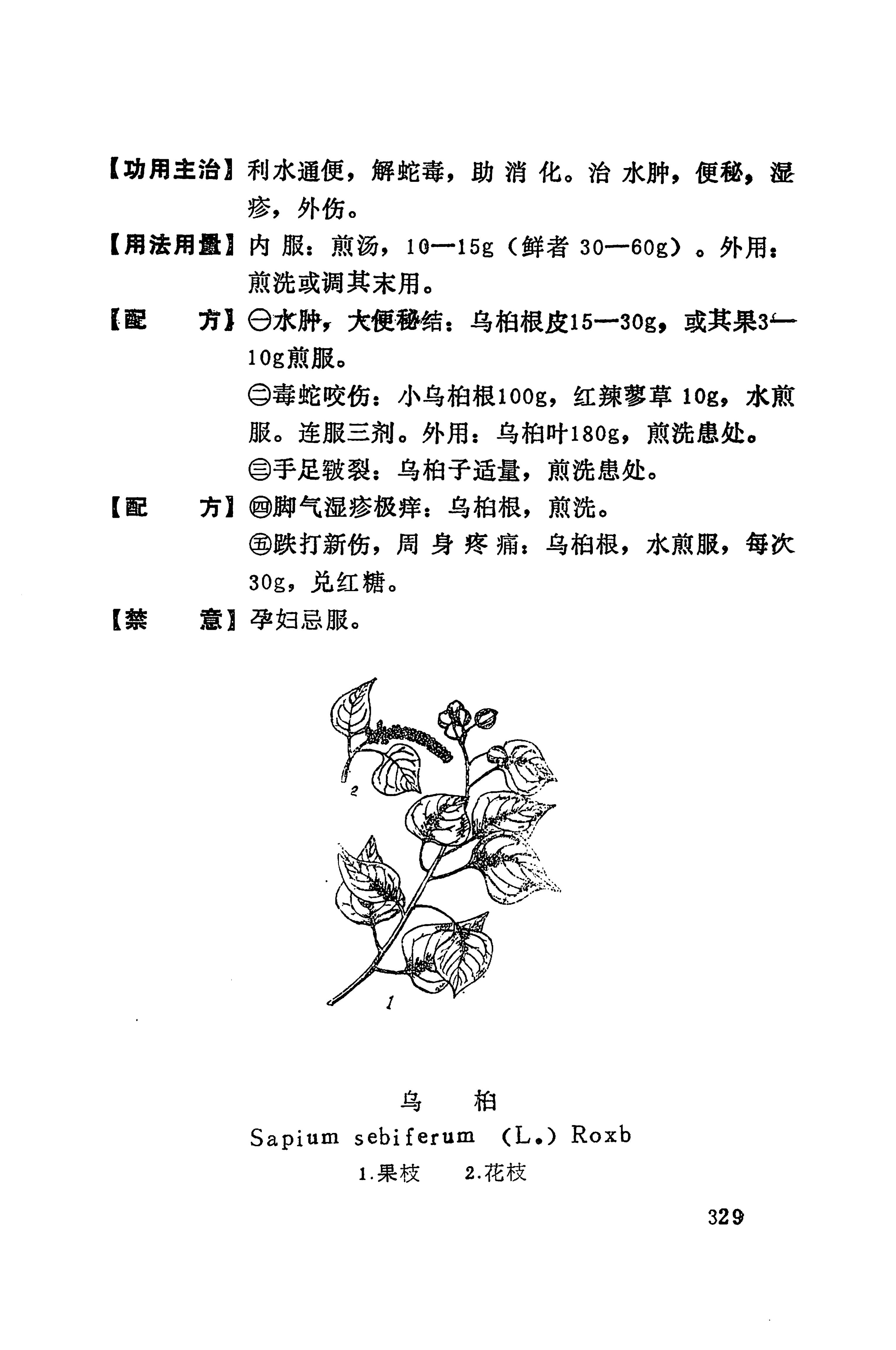 湘西苗药汇编_347.jpg