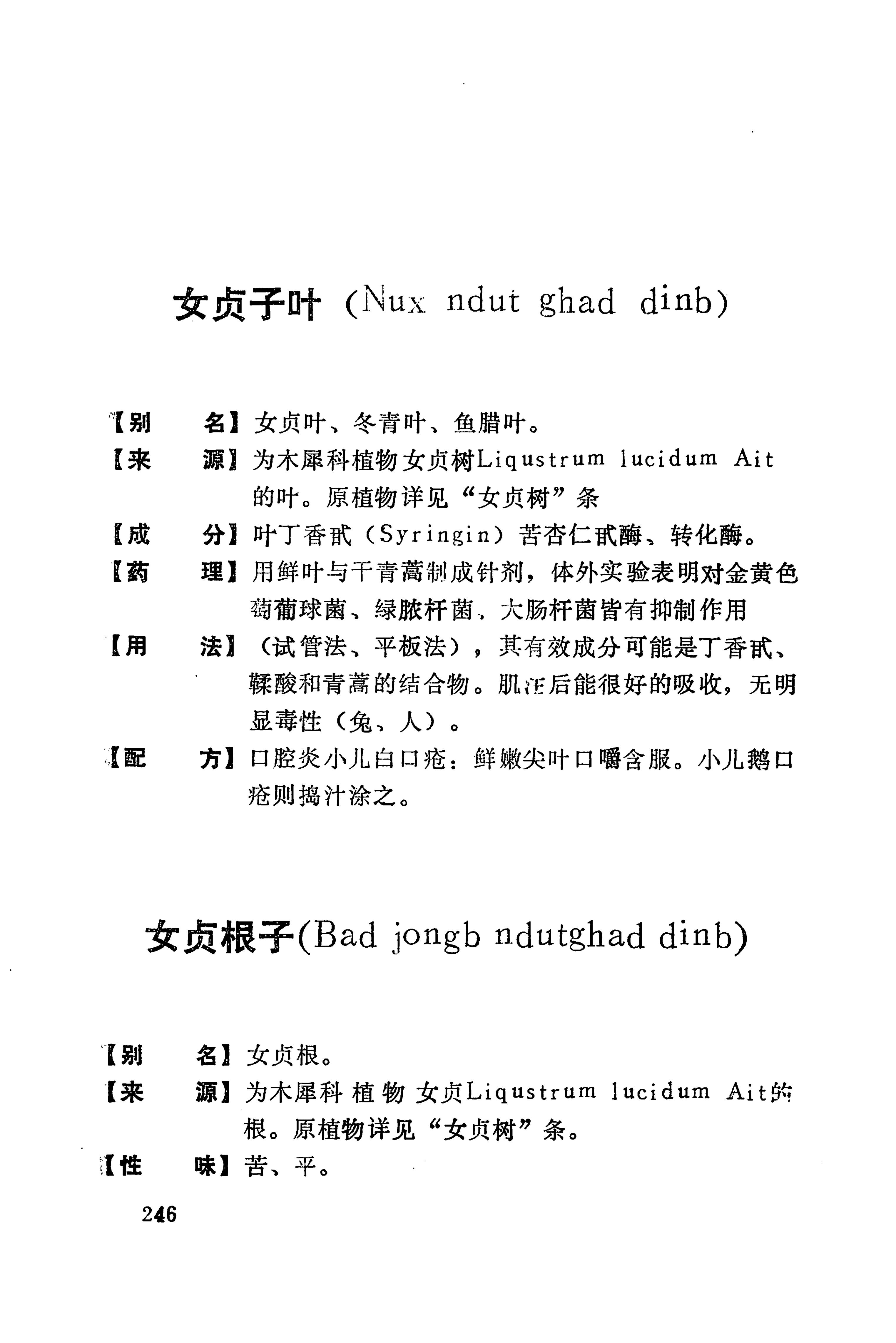 湘西苗药汇编_265.jpg