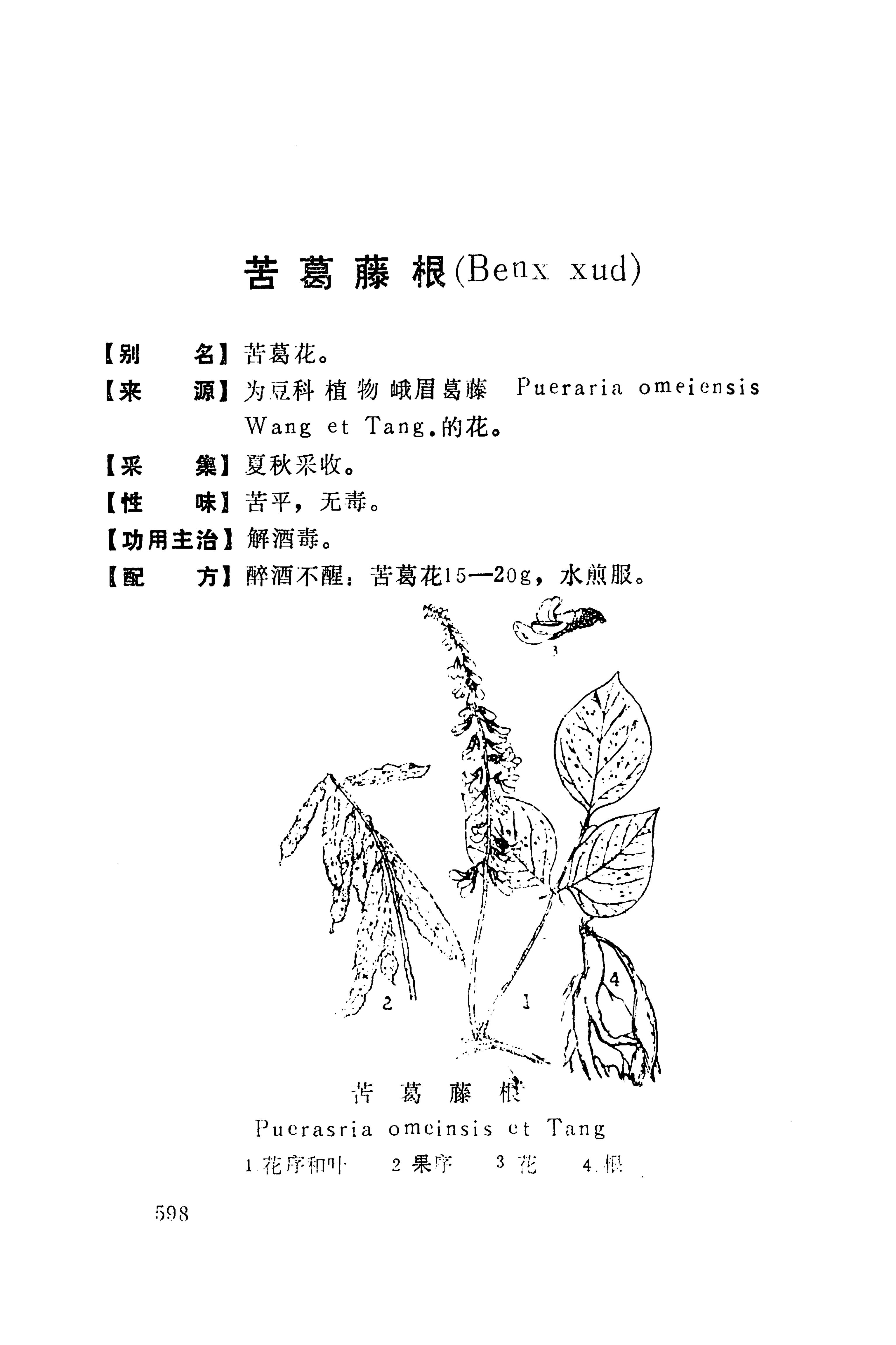 湘西苗药汇编_616.jpg