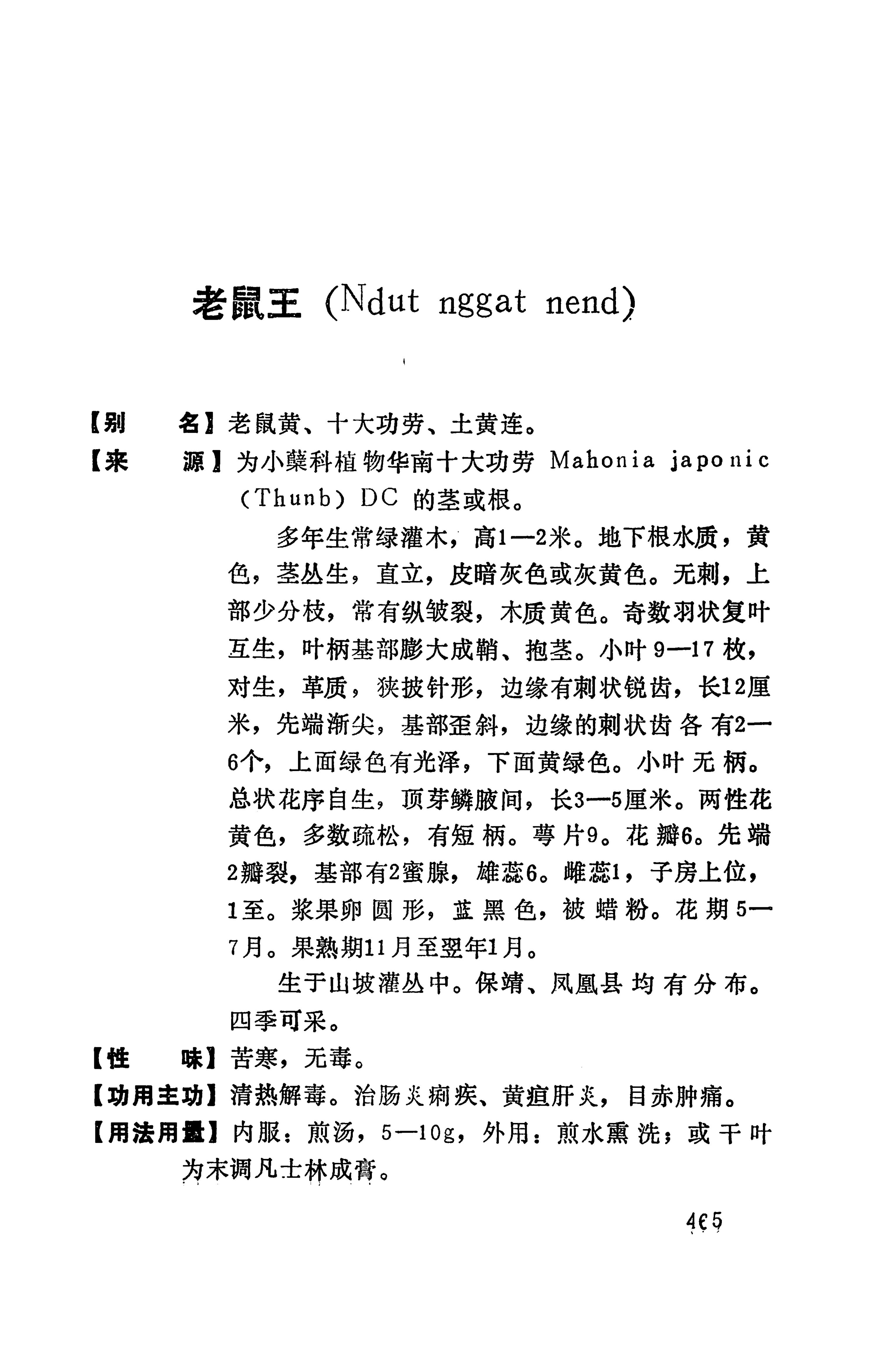 湘西苗药汇编_483.jpg