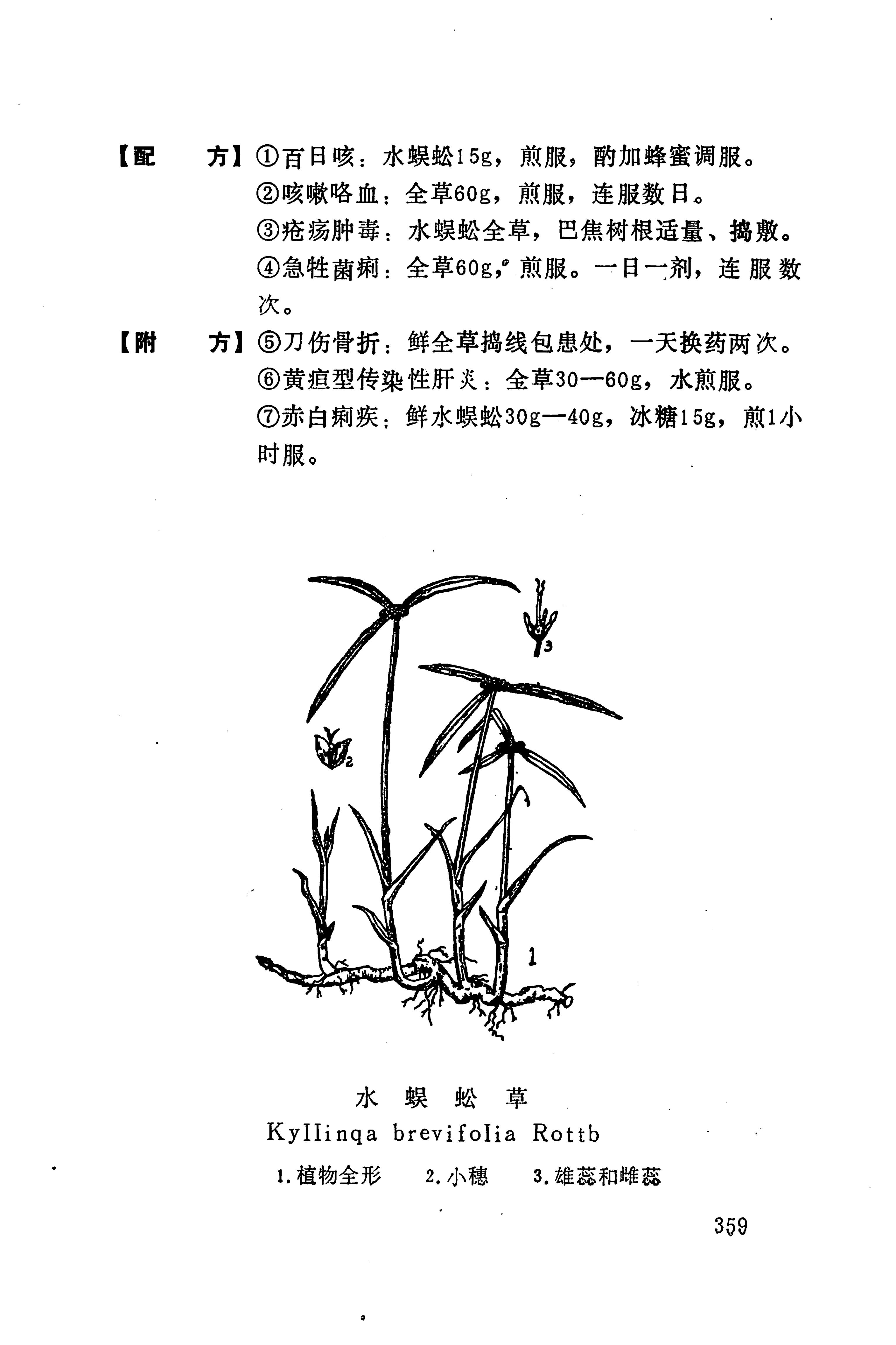 湘西苗药汇编_377.jpg