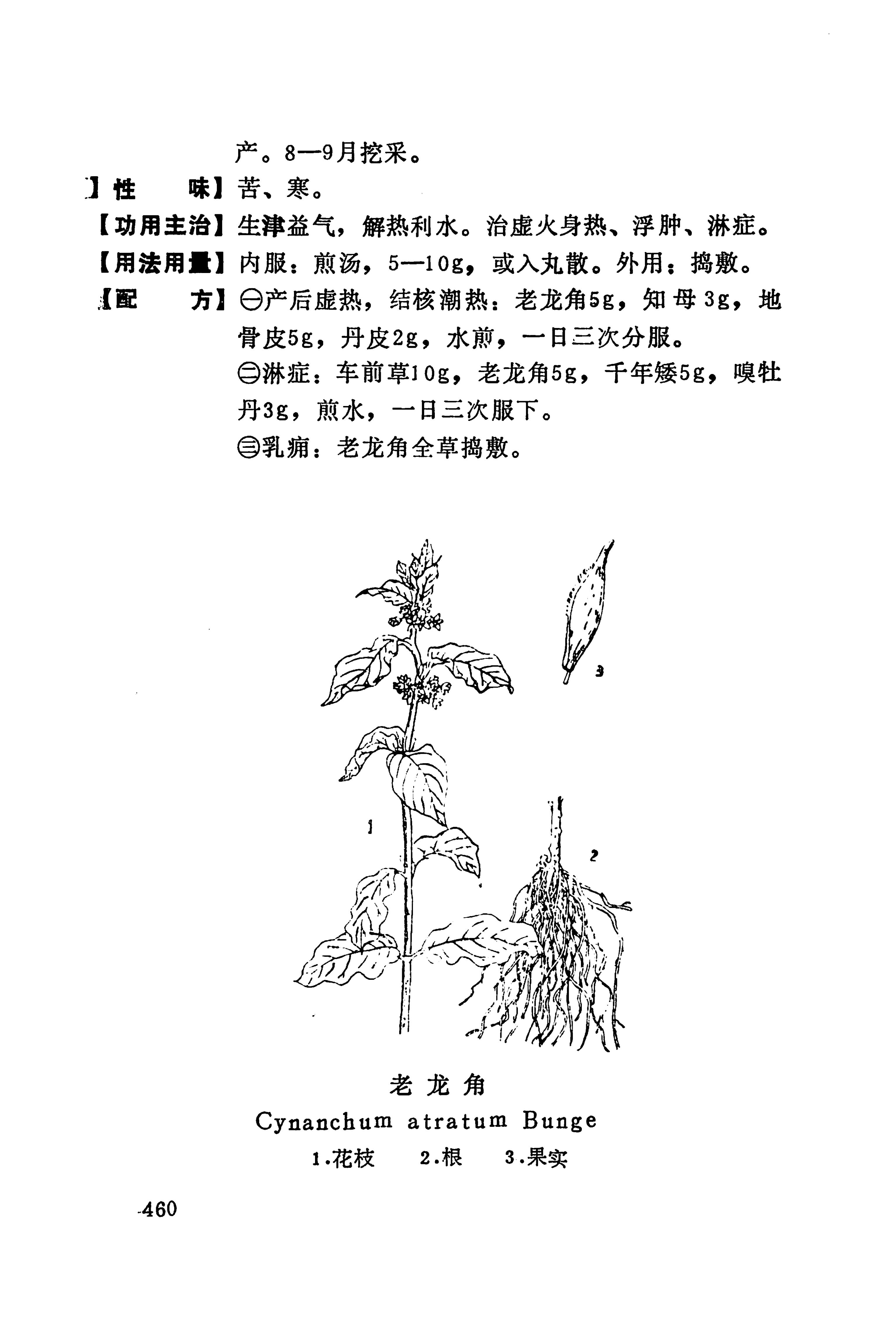 湘西苗药汇编_478.jpg