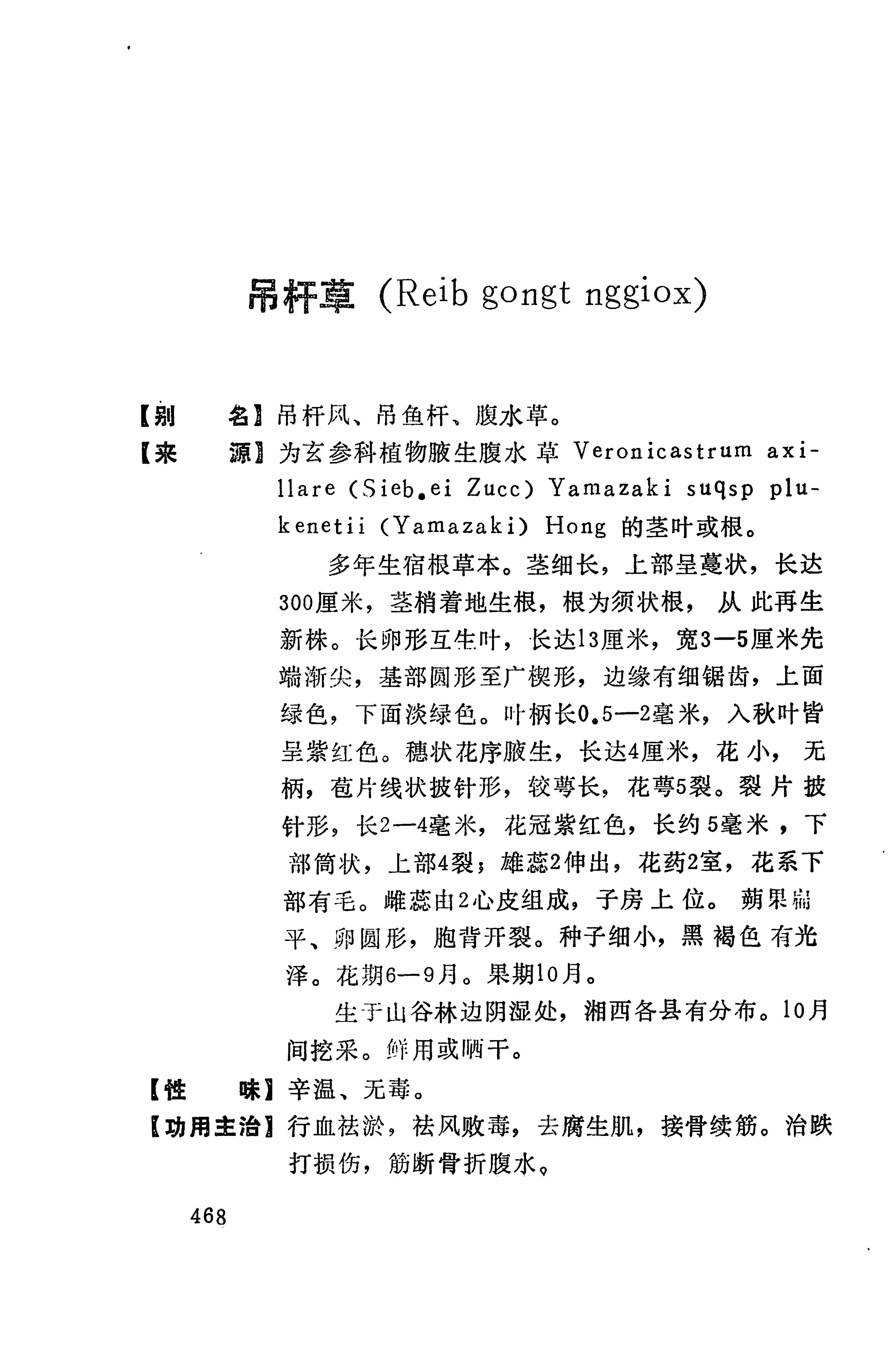 湘西苗药汇编_486.jpg