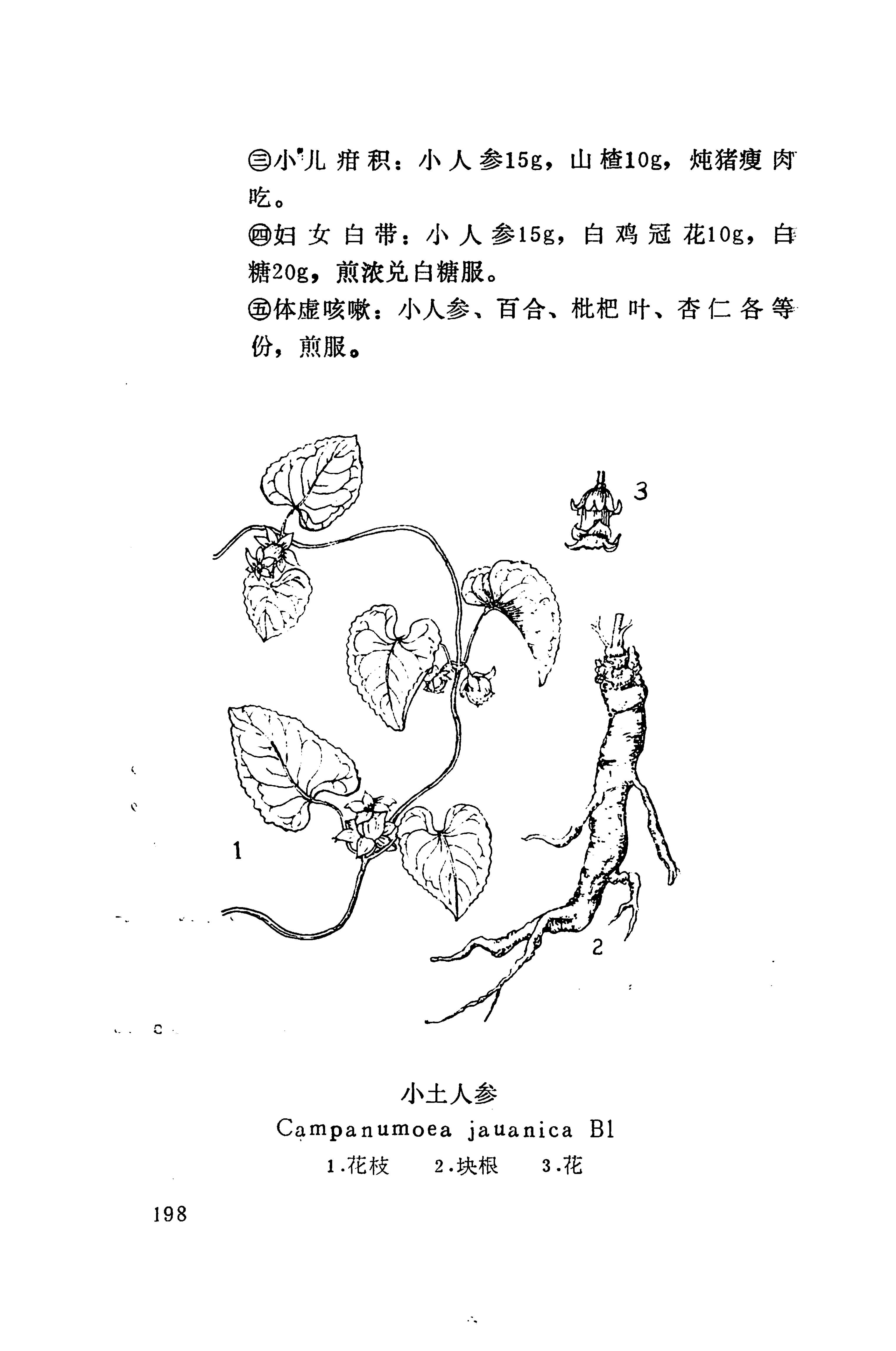 湘西苗药汇编_313.jpg