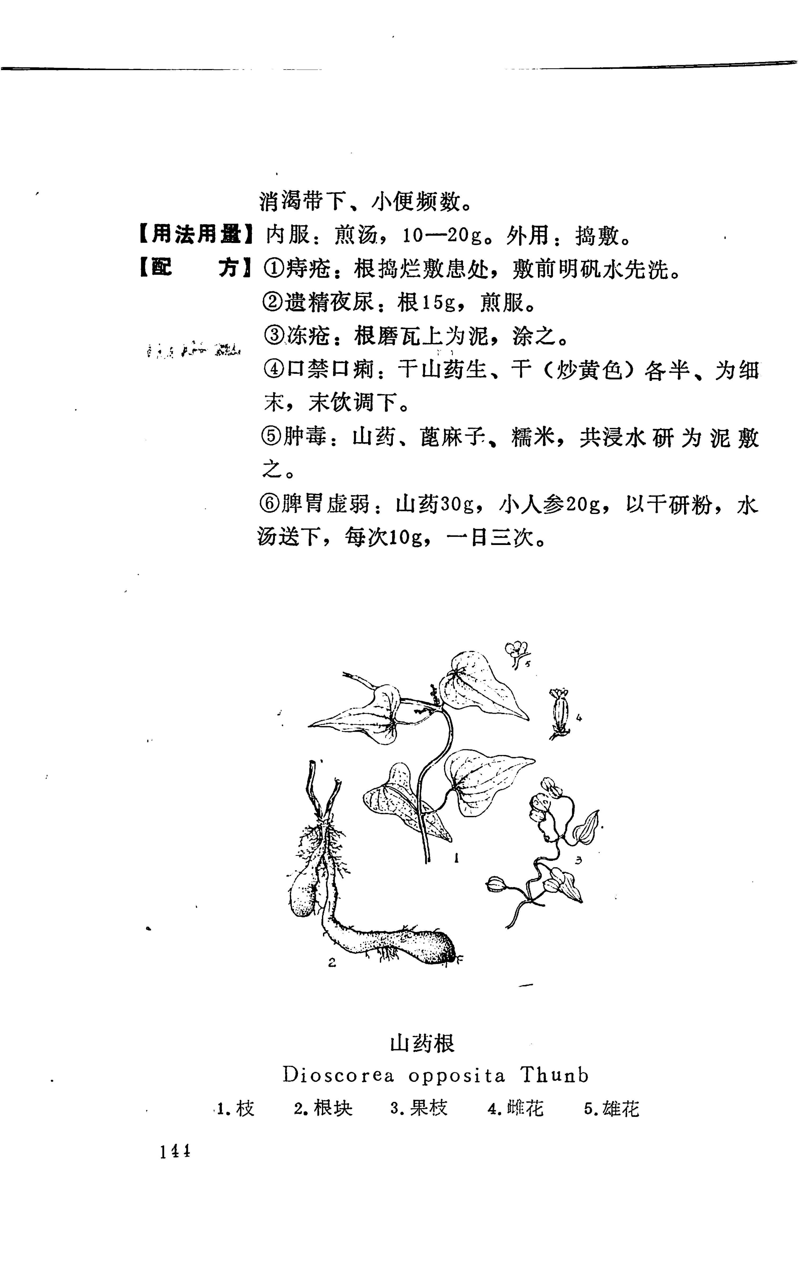 湘西苗药汇编_162.jpg