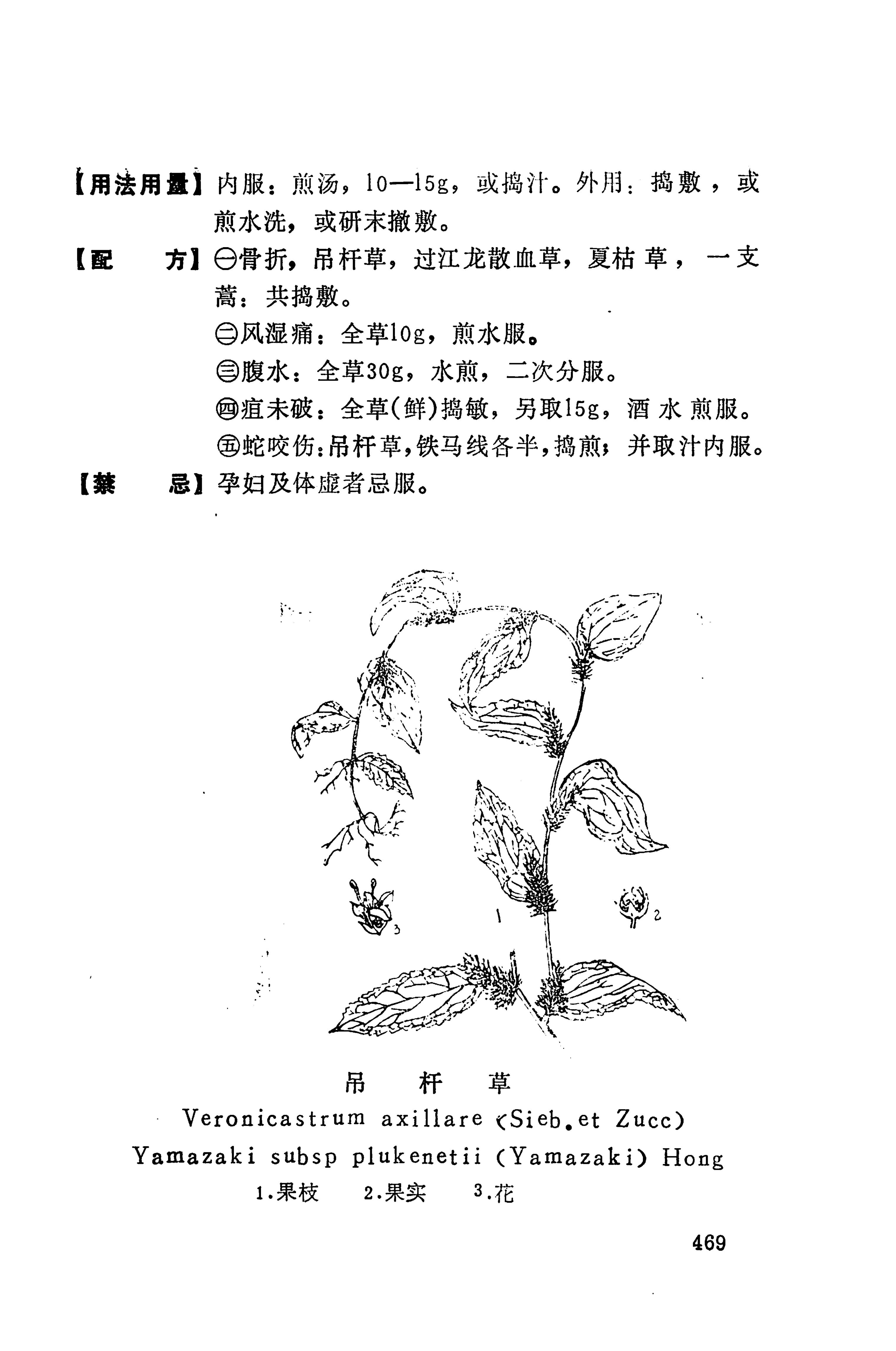 湘西苗药汇编_487.jpg