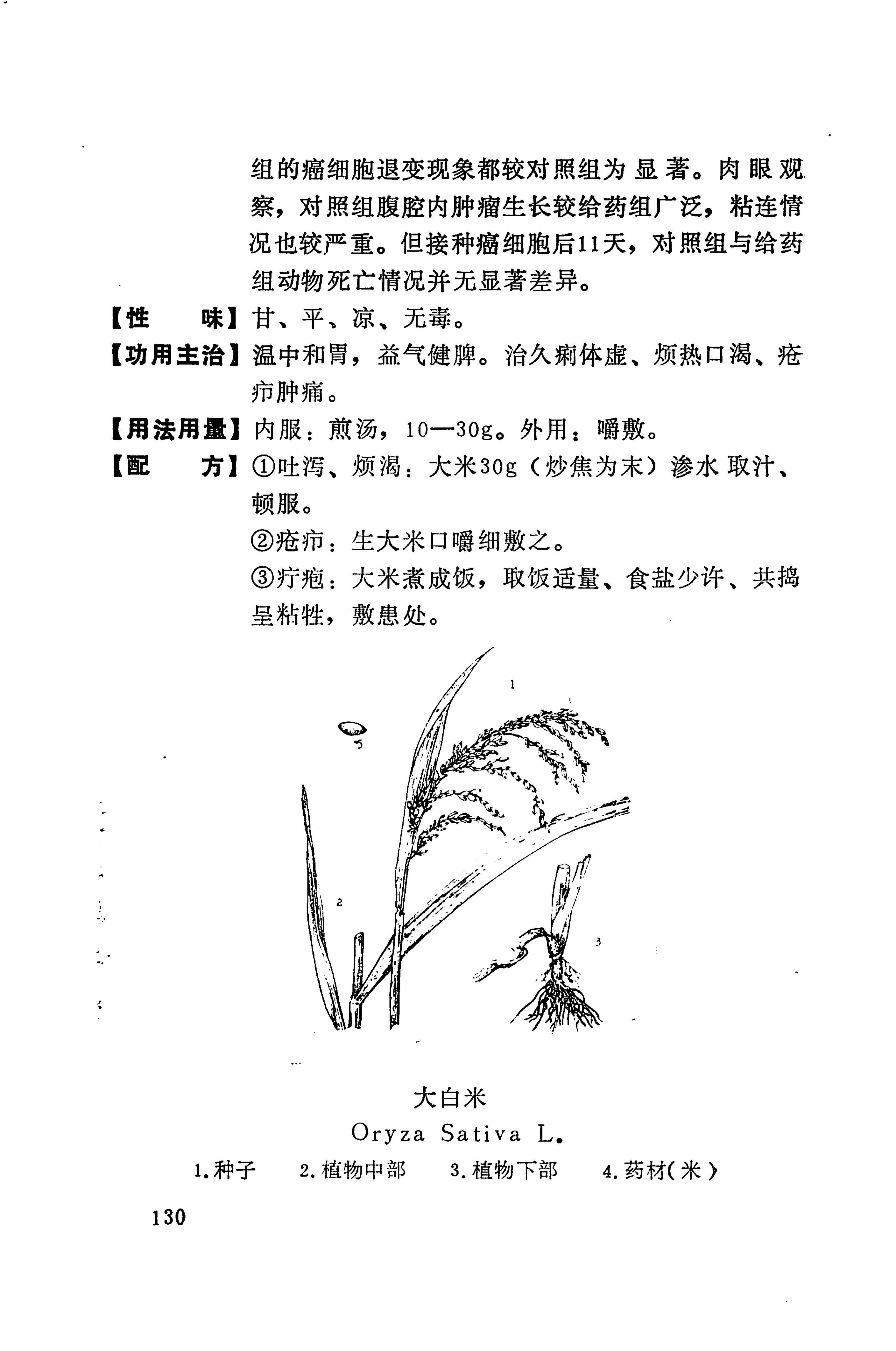 湘西苗药汇编_148.jpg