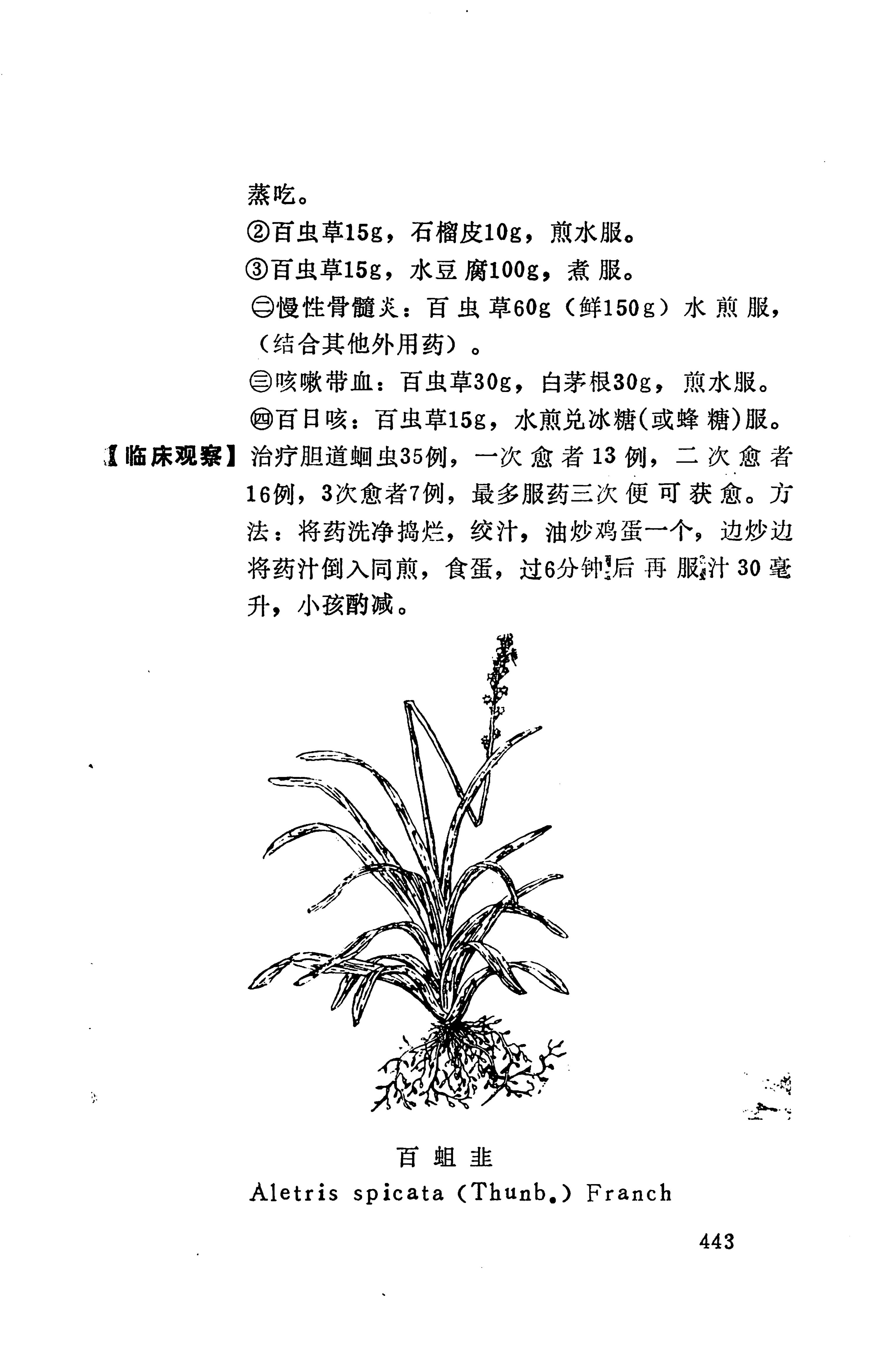 湘西苗药汇编_461.jpg