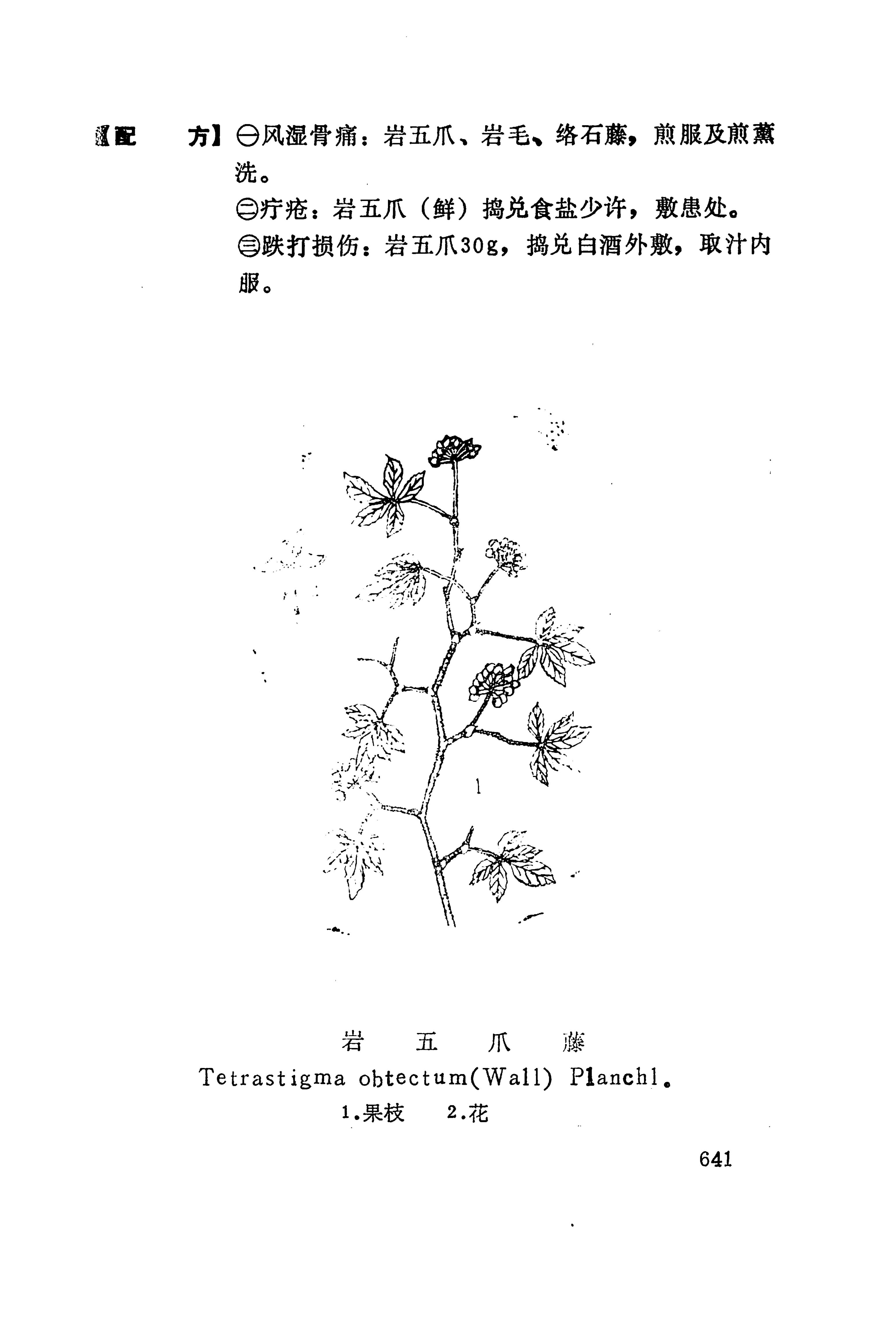 湘西苗药汇编_659.jpg