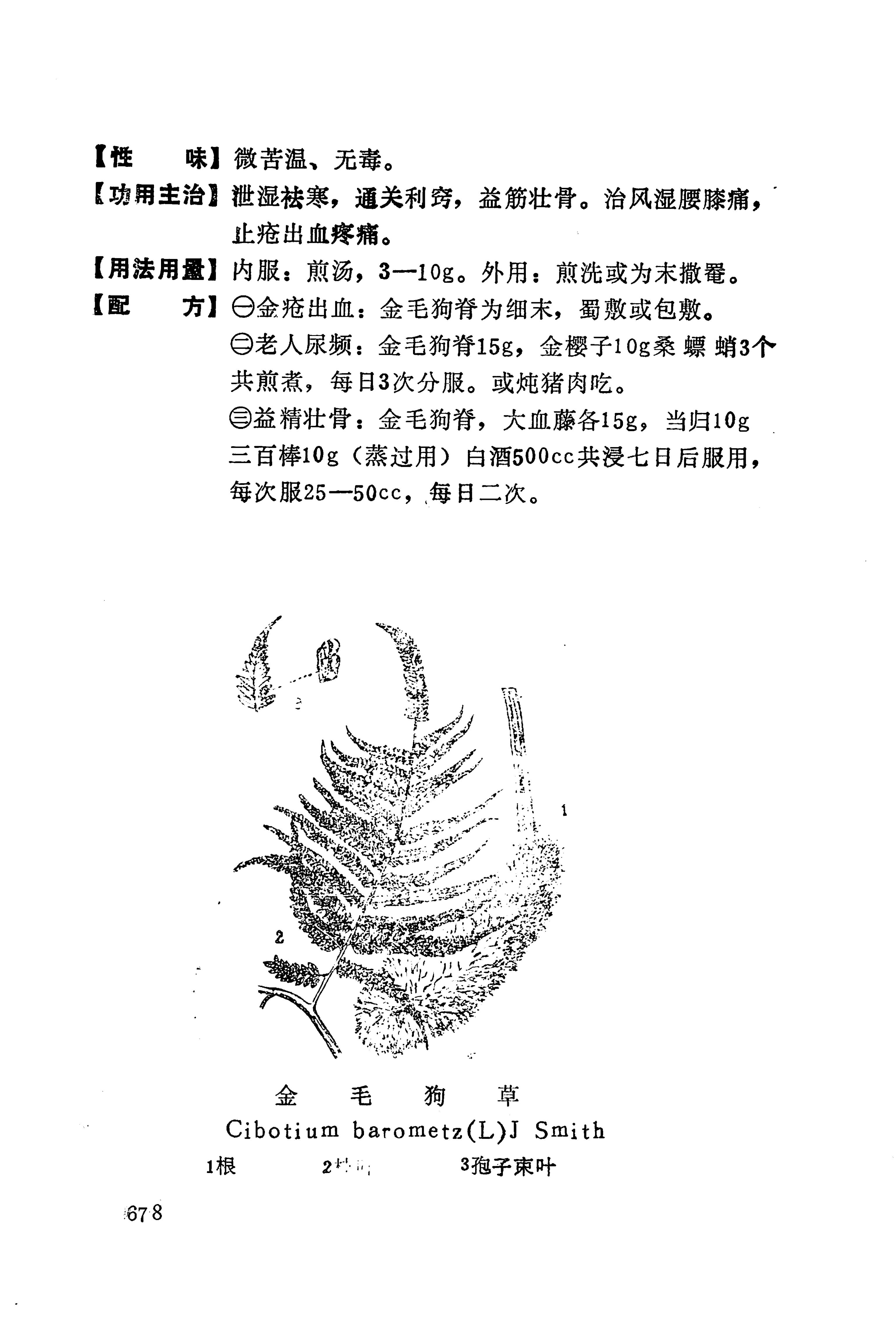 湘西苗药汇编_696.jpg