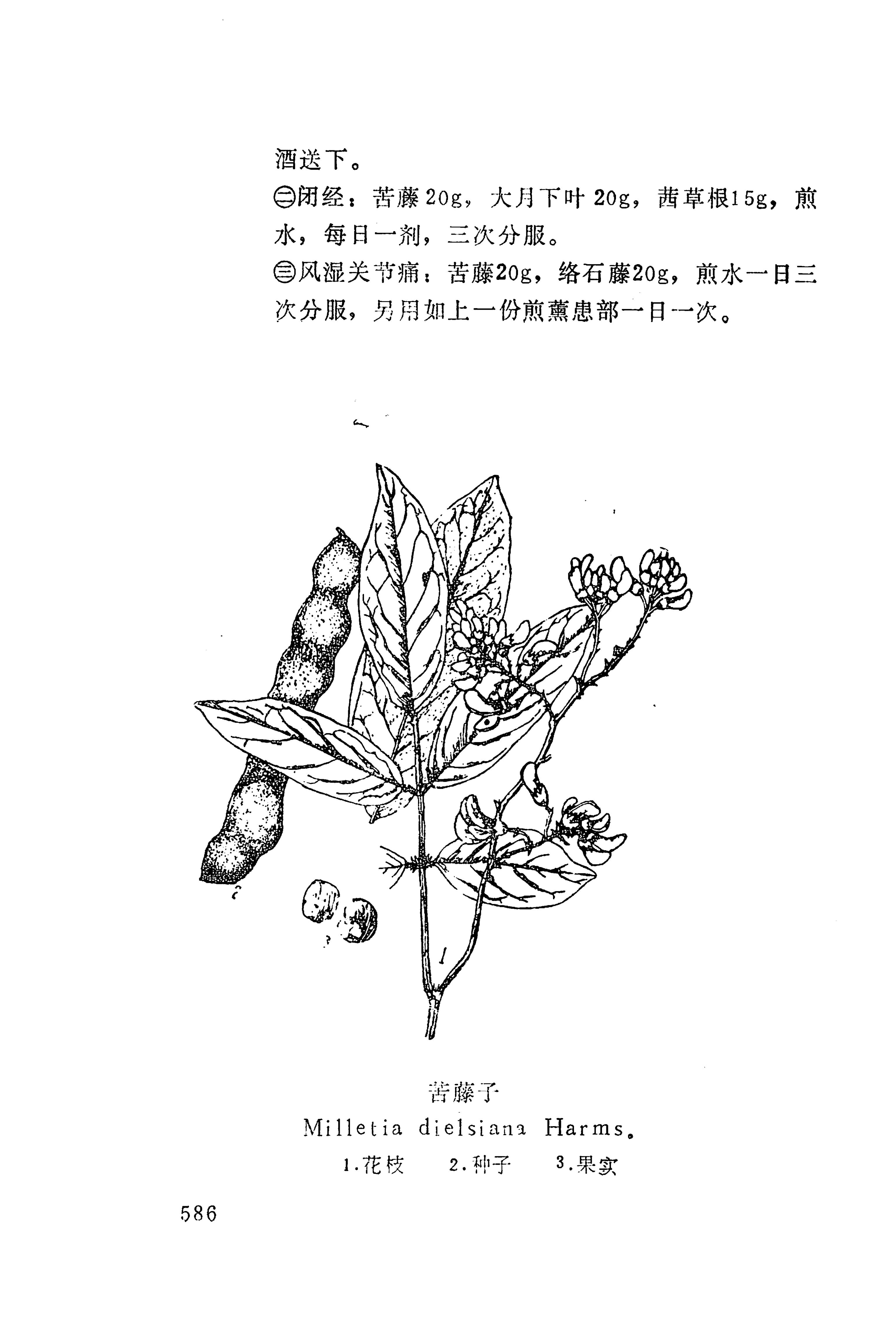 湘西苗药汇编_604.jpg