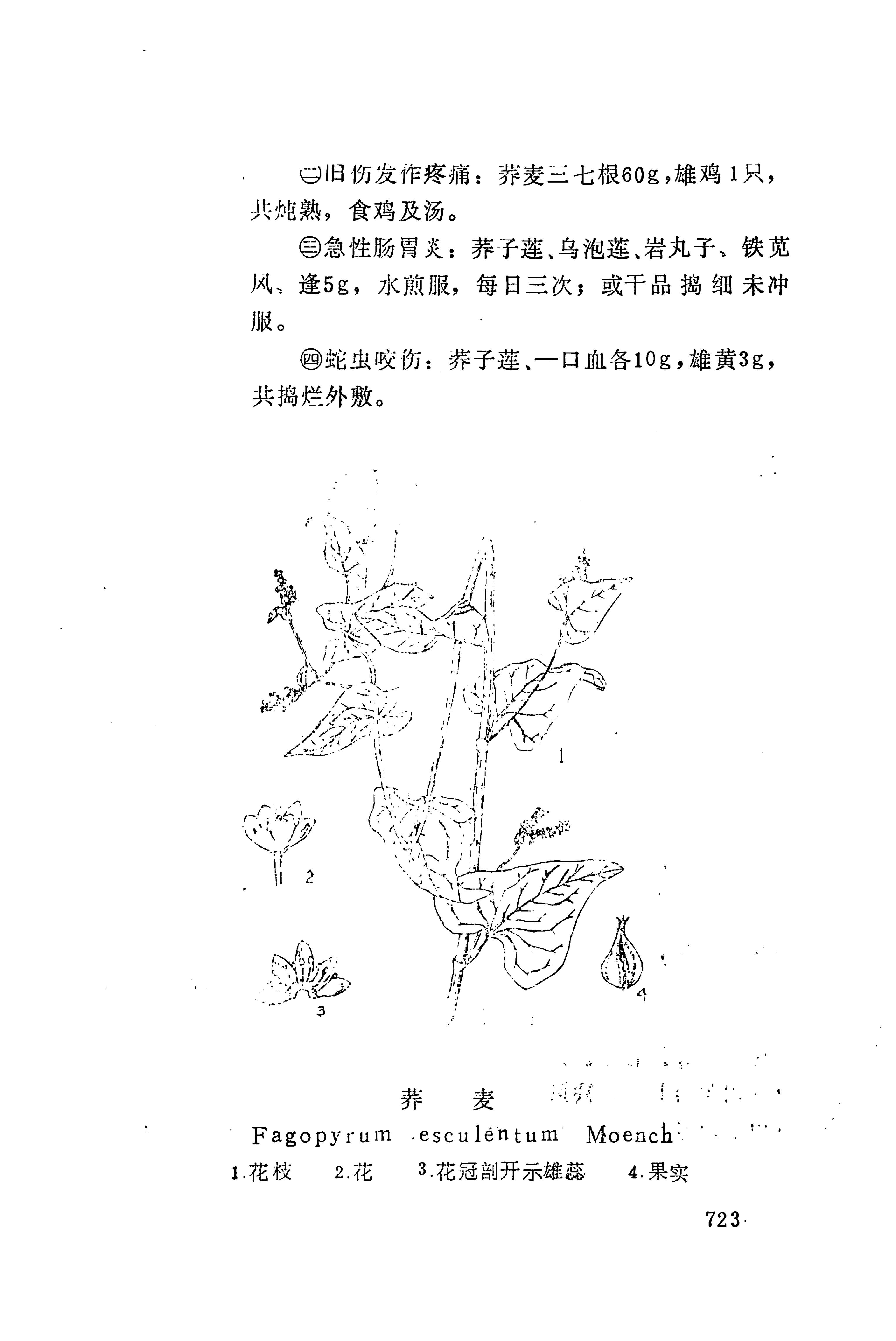 湘西苗药汇编_741.jpg