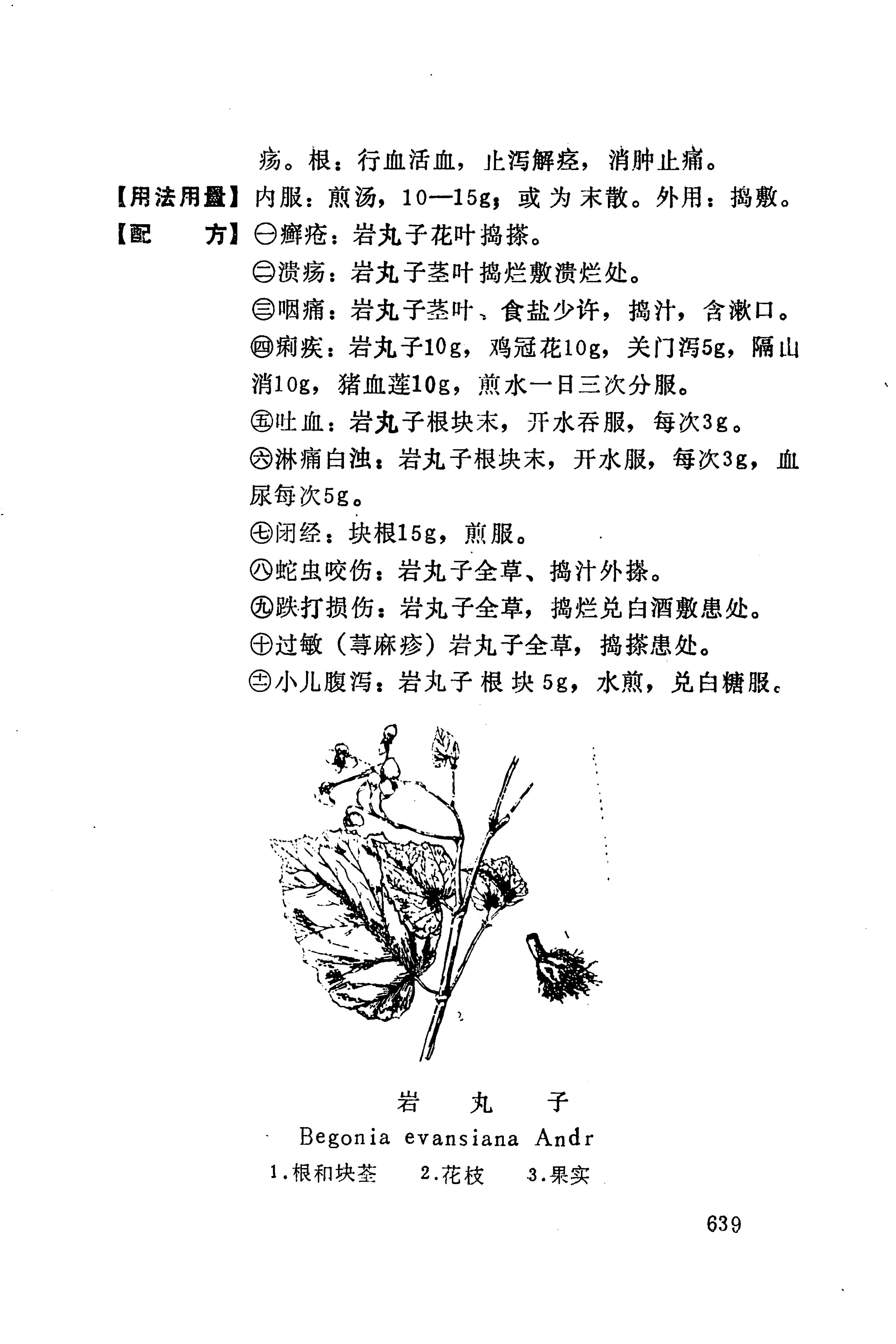 湘西苗药汇编_657.jpg