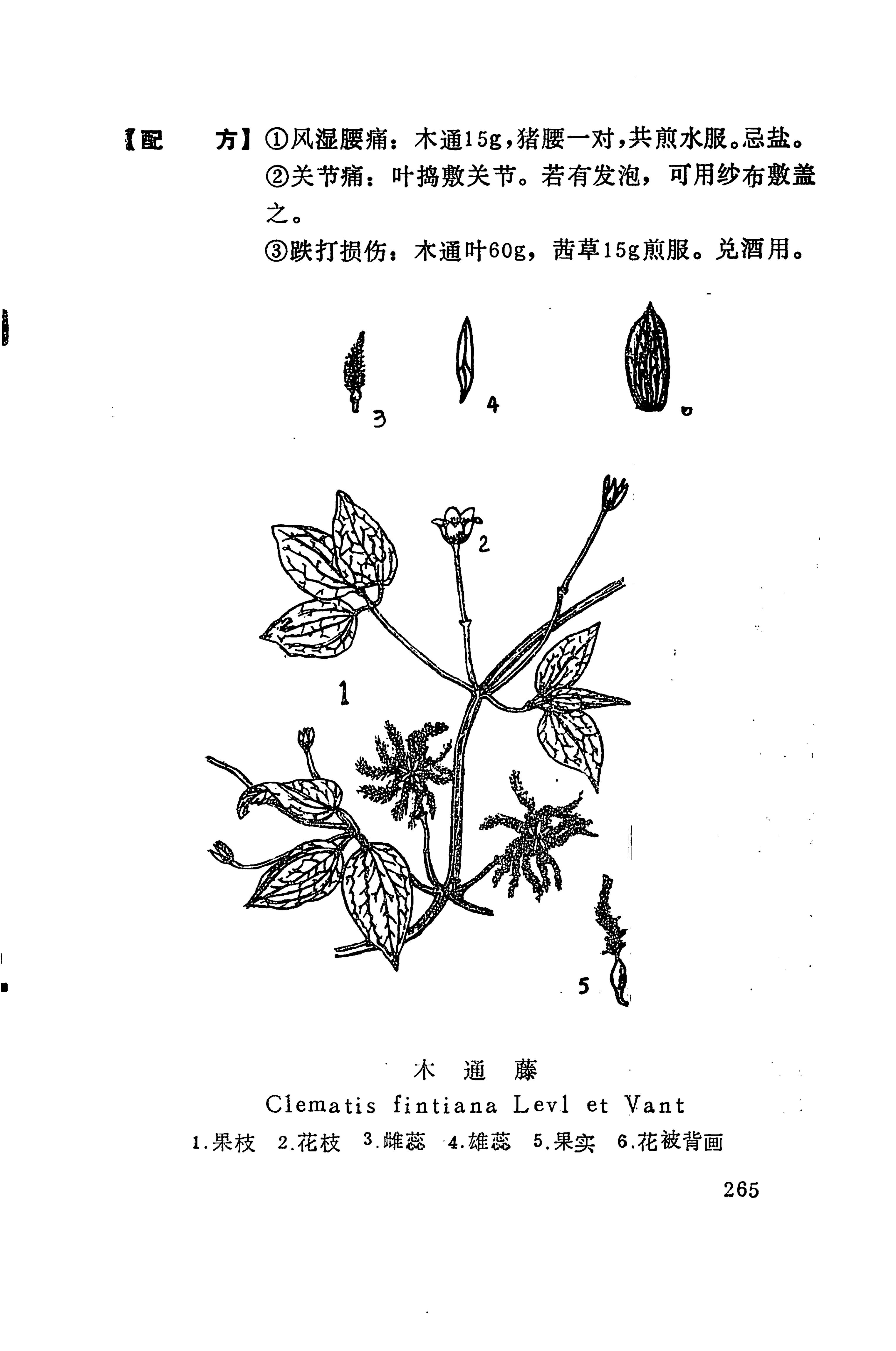 湘西苗药汇编_246.jpg
