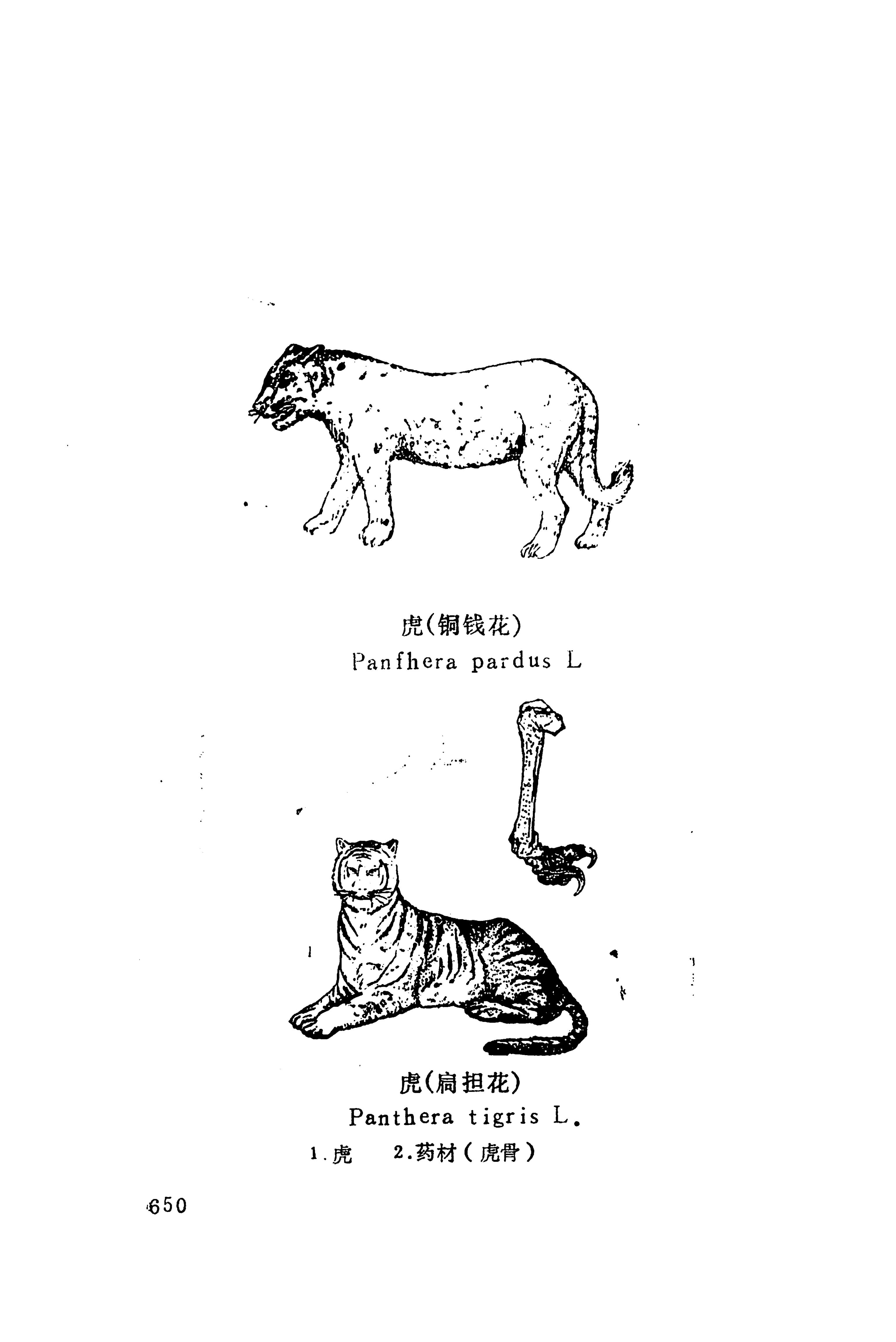 湘西苗药汇编_668.jpg