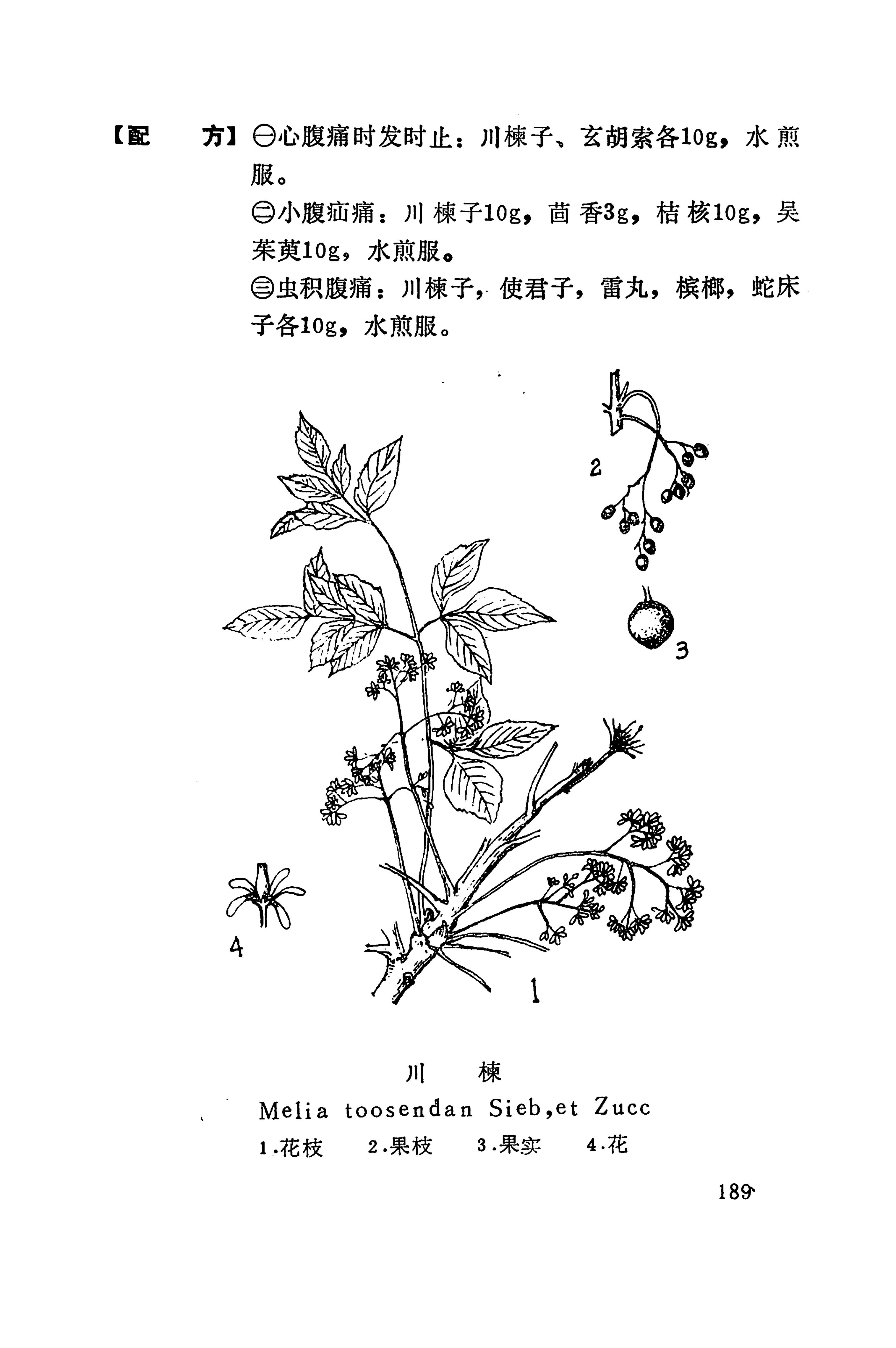 湘西苗药汇编_322.jpg
