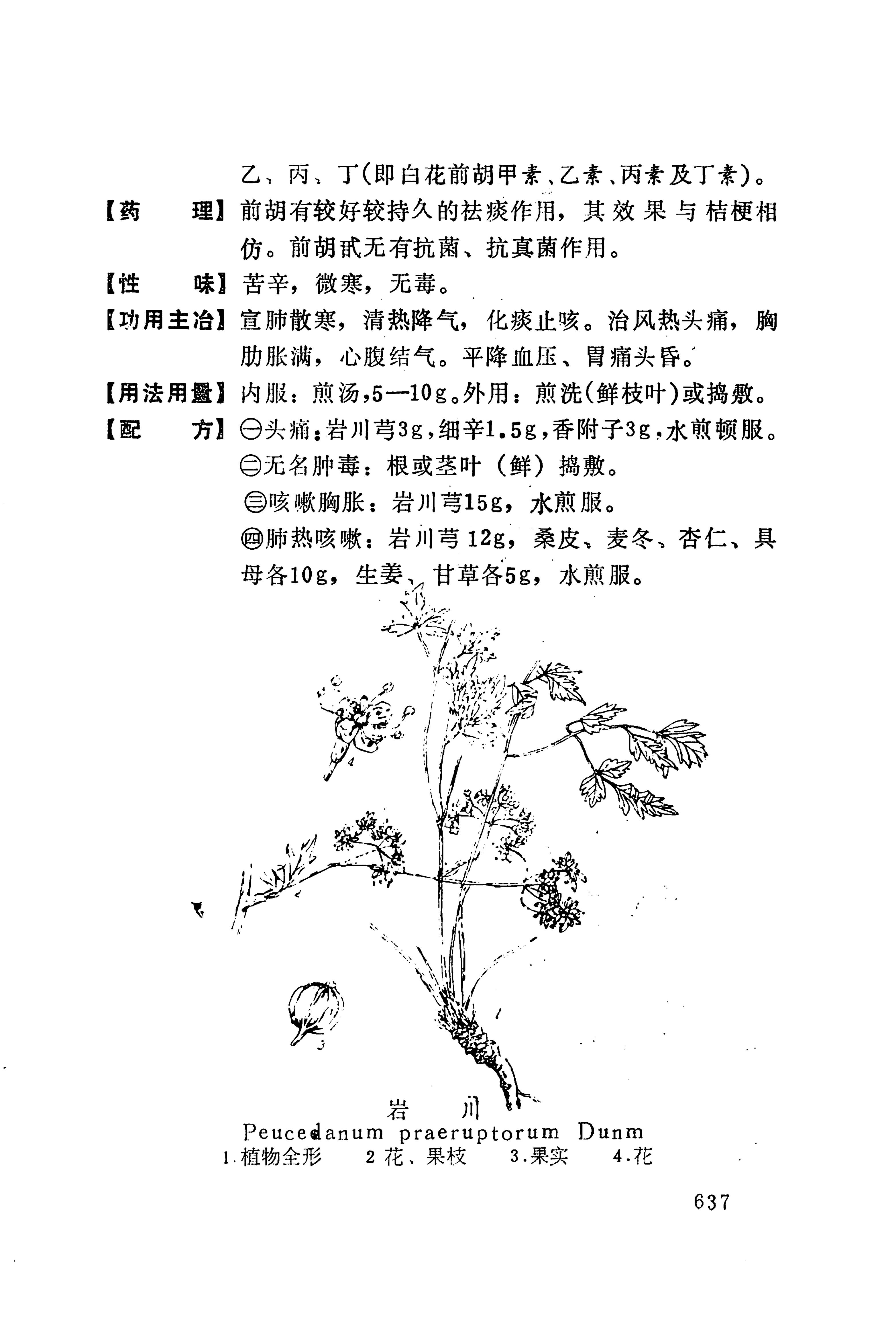 湘西苗药汇编_655.jpg
