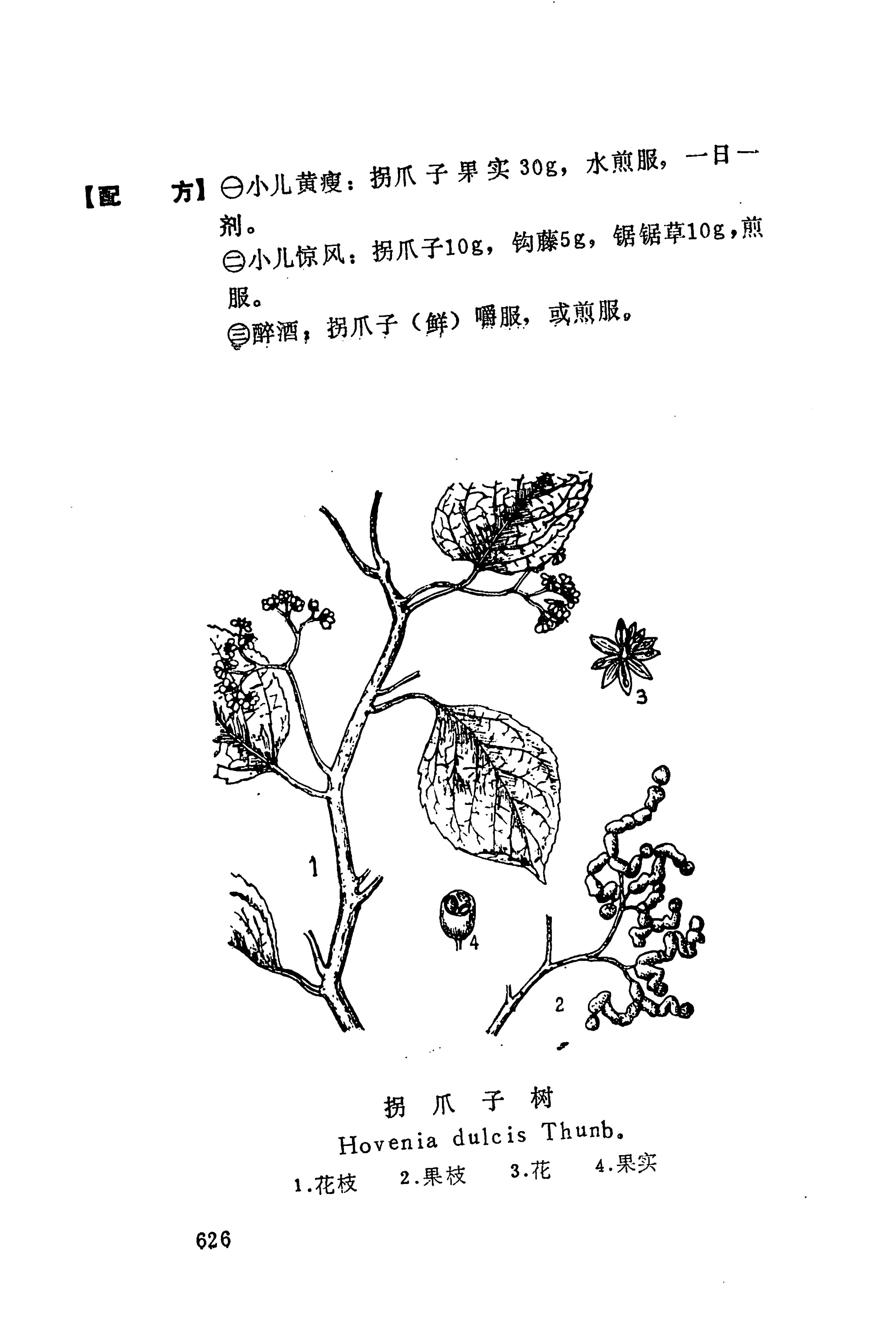 湘西苗药汇编_644.jpg