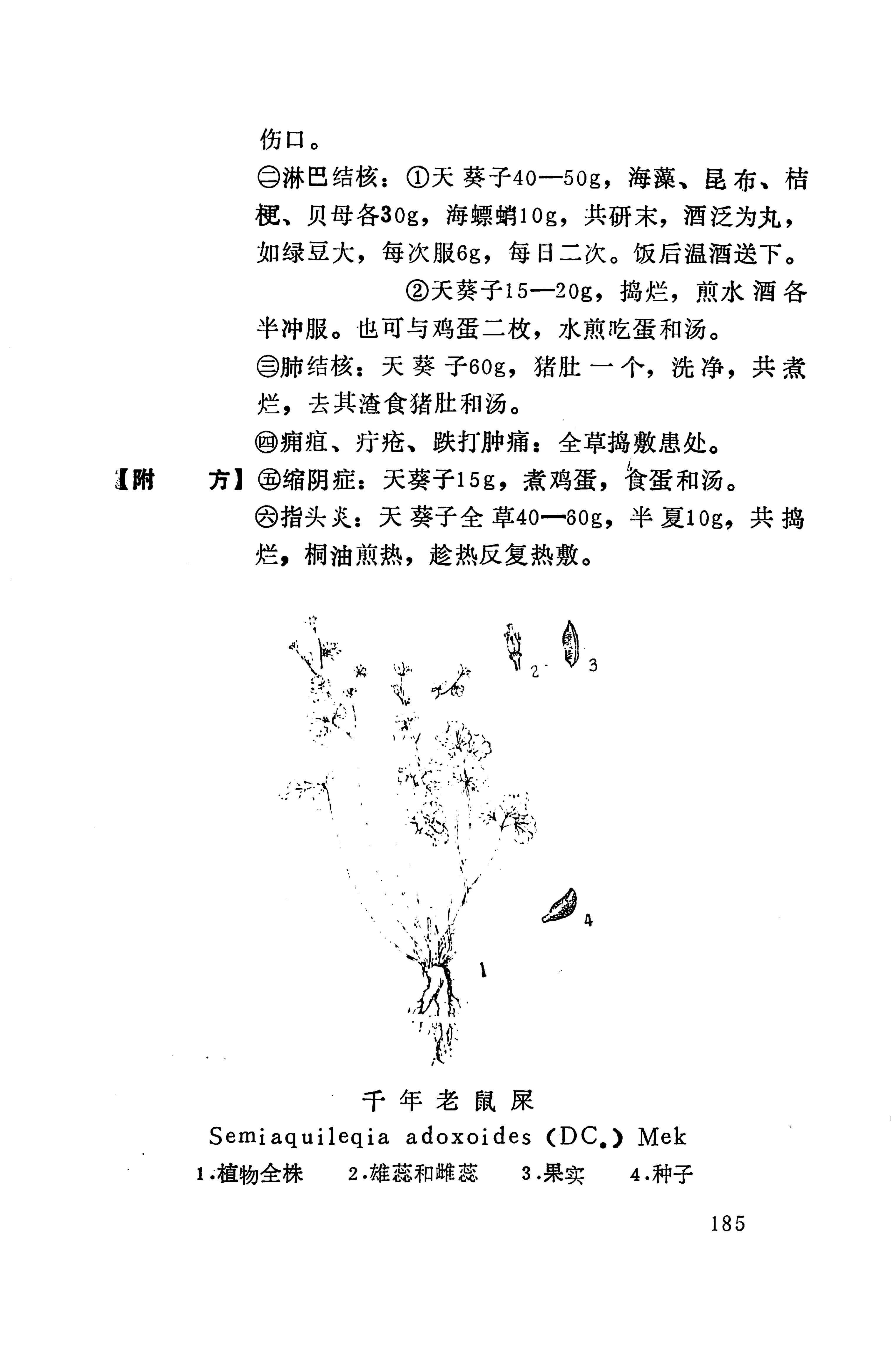 湘西苗药汇编_326.jpg