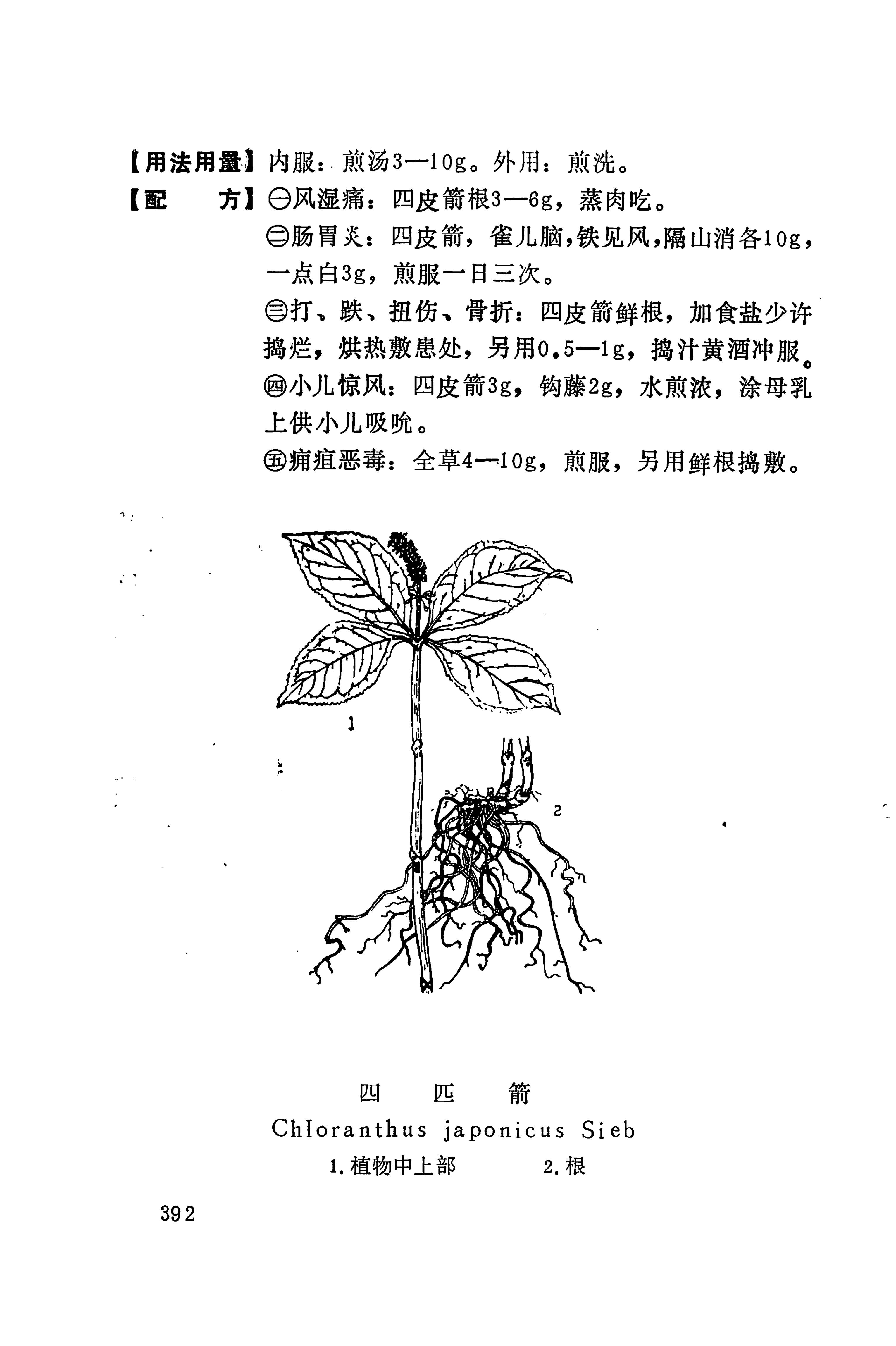 湘西苗药汇编_410.jpg