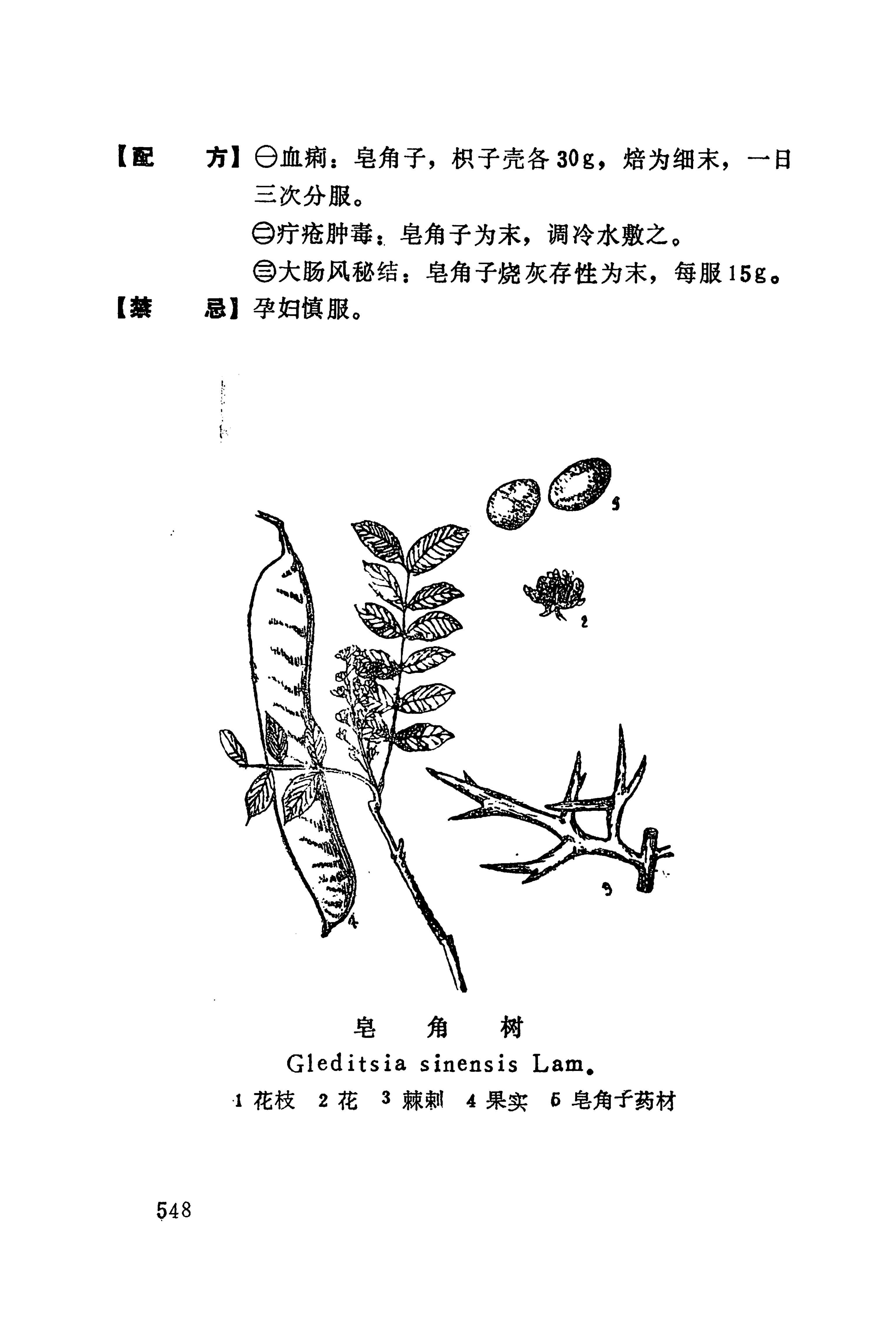 湘西苗药汇编_566.jpg