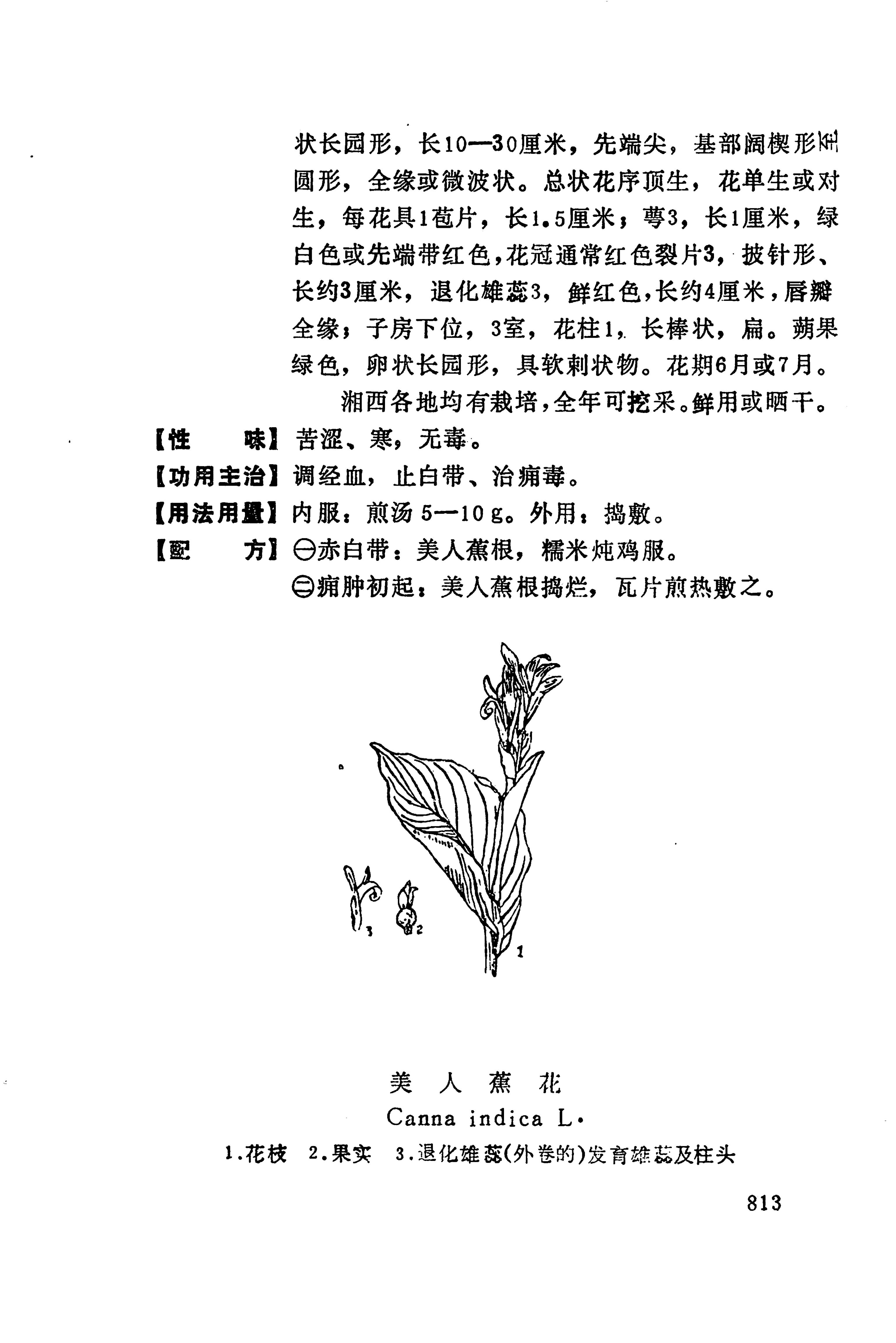 湘西苗药汇编_831.jpg
