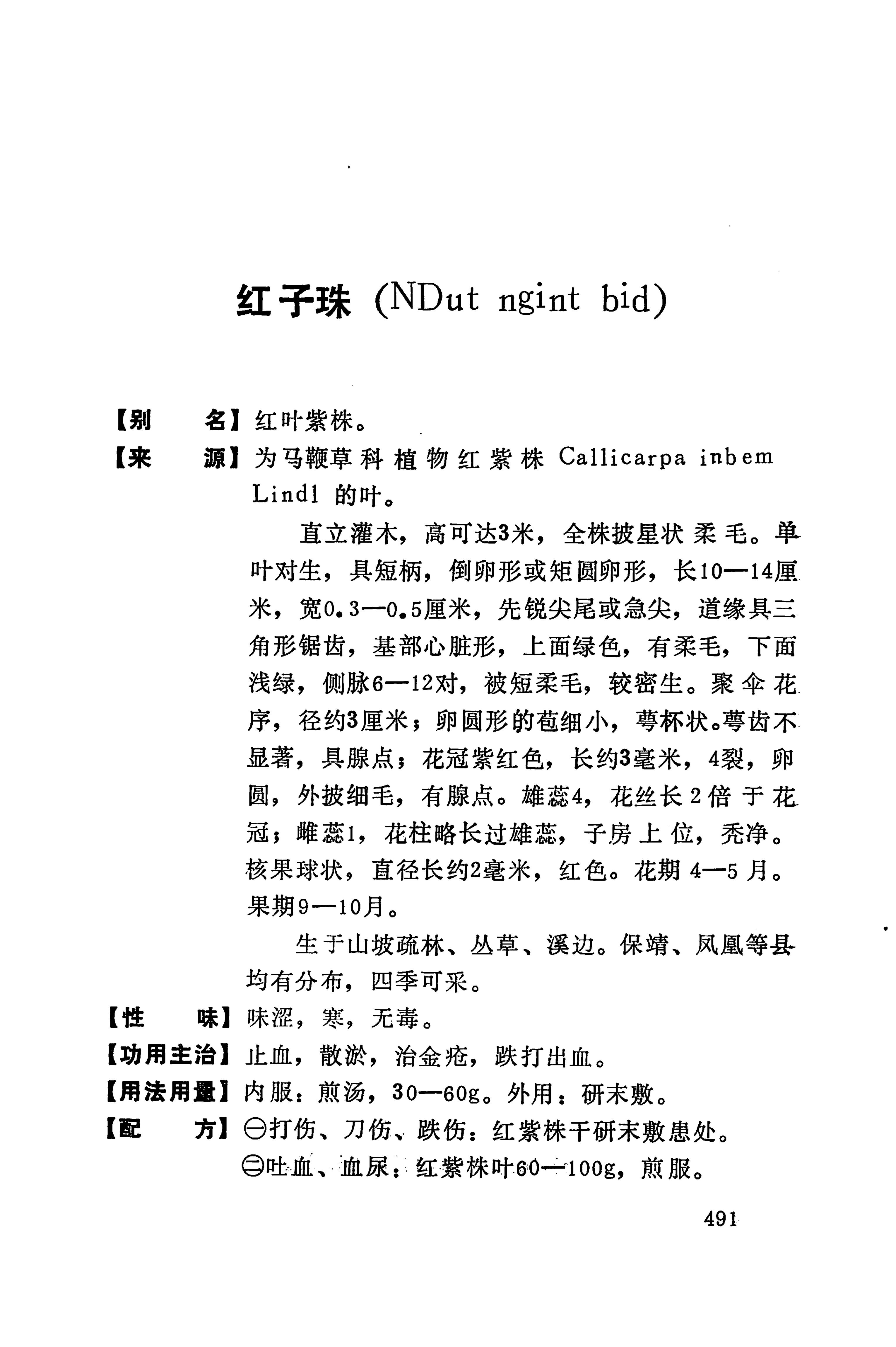 湘西苗药汇编_509.jpg