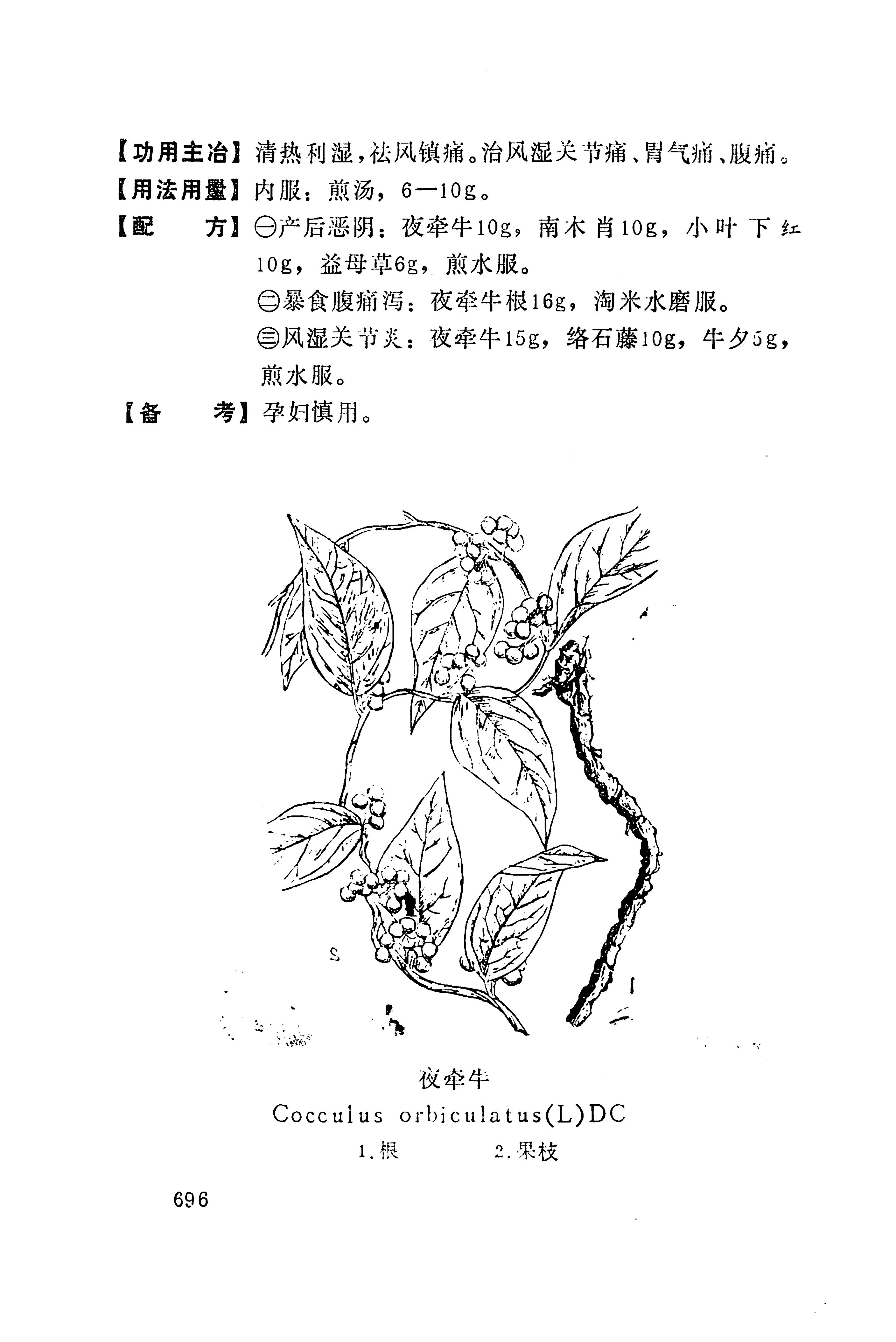 湘西苗药汇编_714.jpg