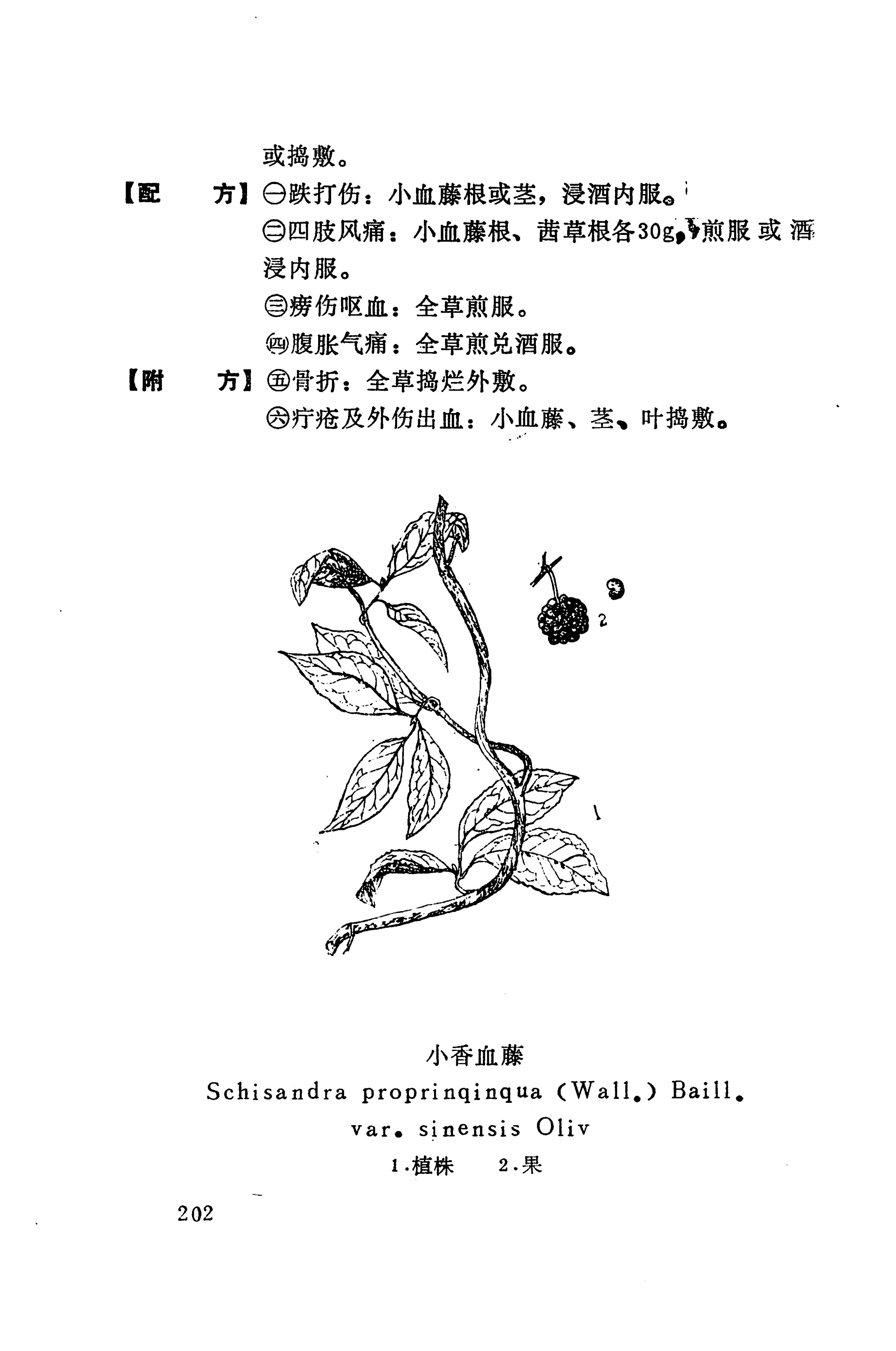 湘西苗药汇编_309.jpg