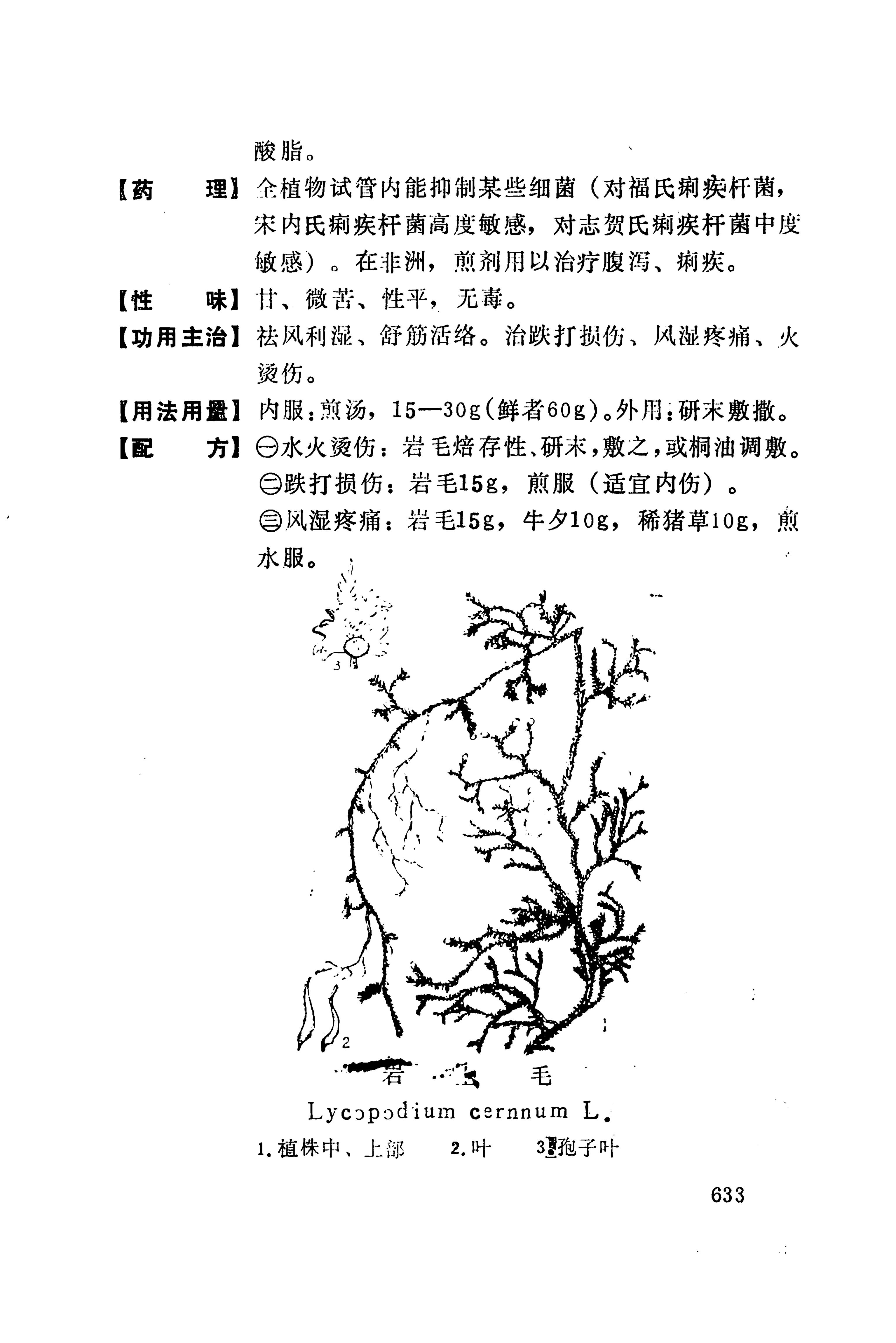 湘西苗药汇编_651.jpg