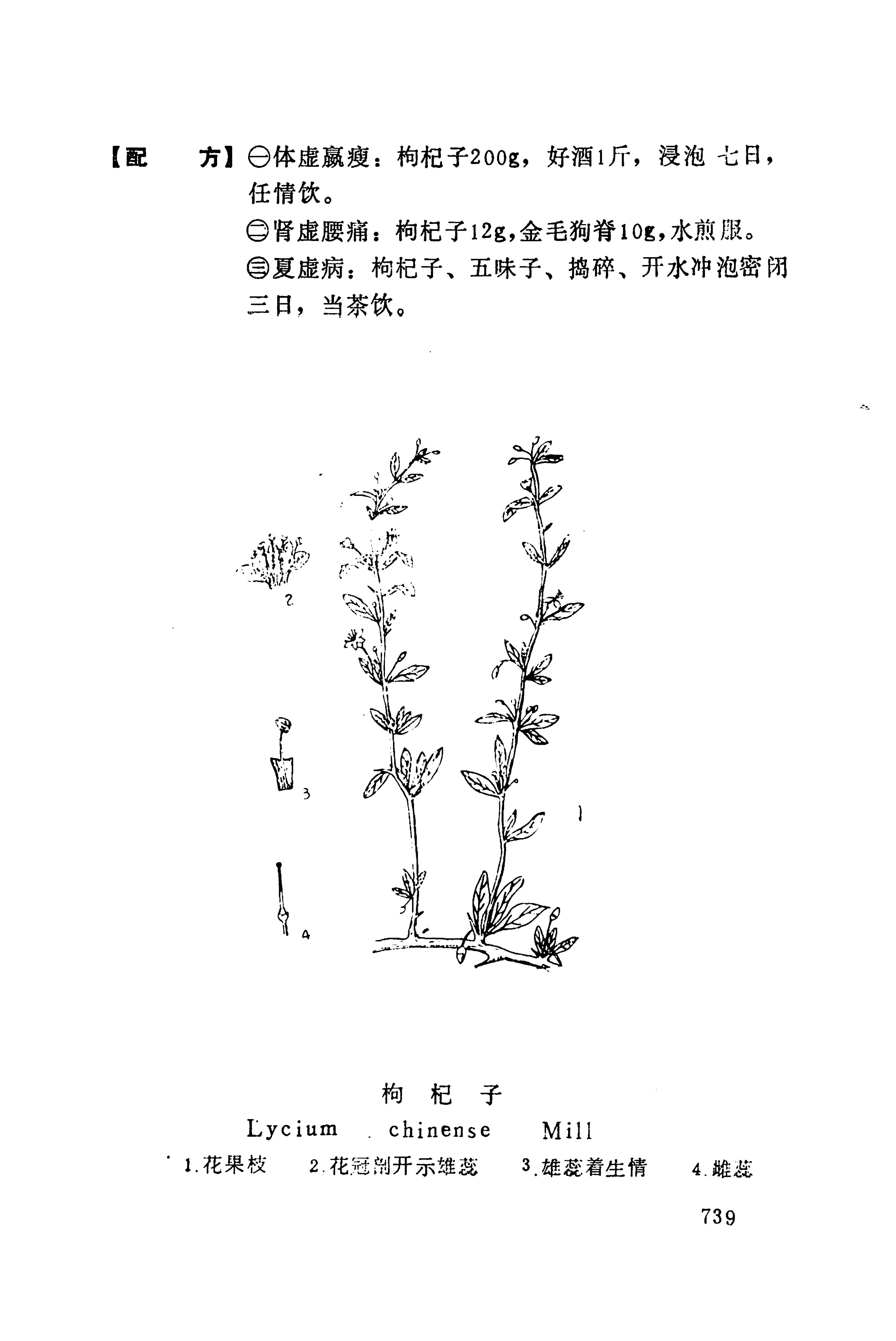 湘西苗药汇编_757.jpg