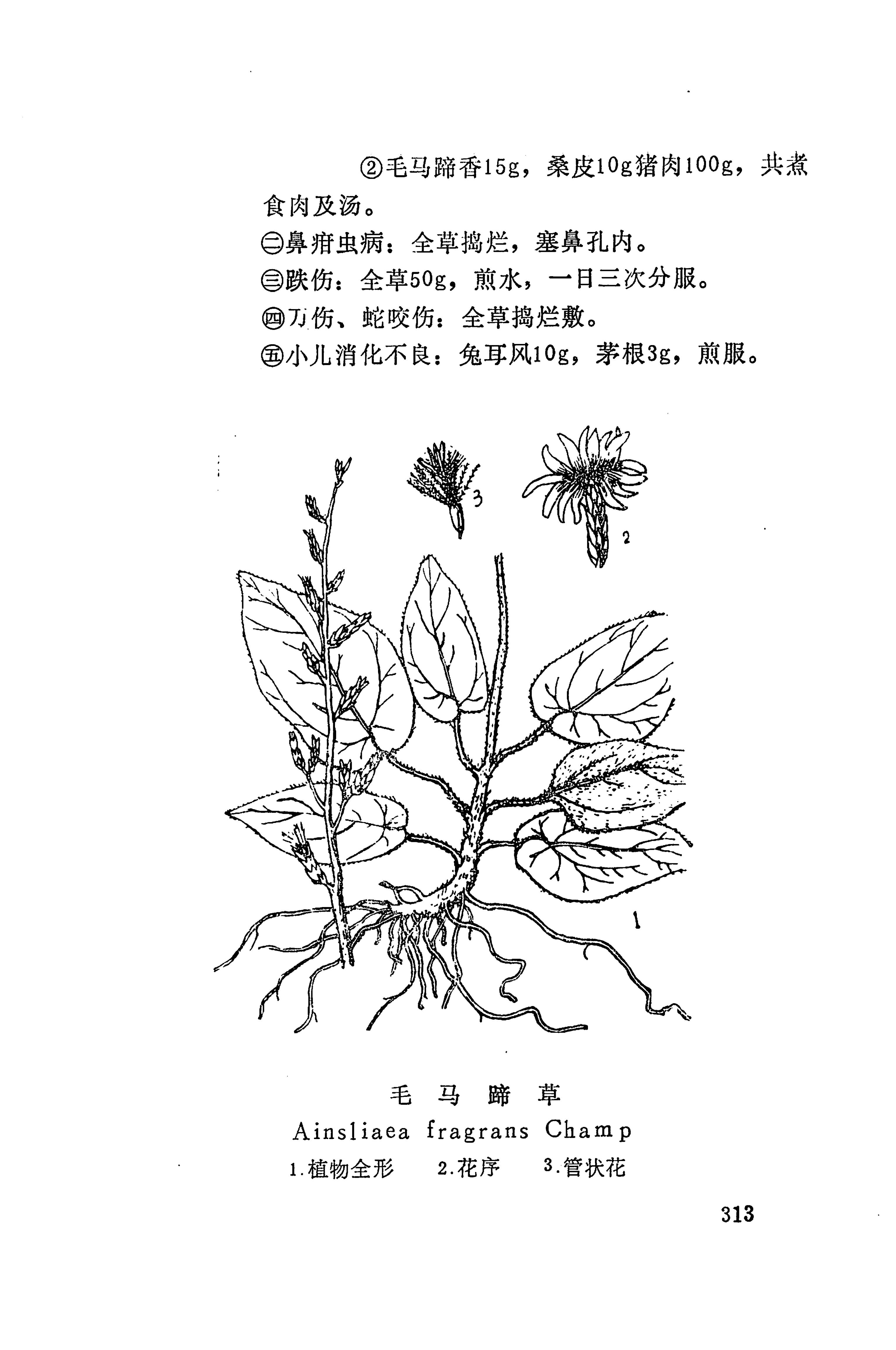 湘西苗药汇编_198.jpg