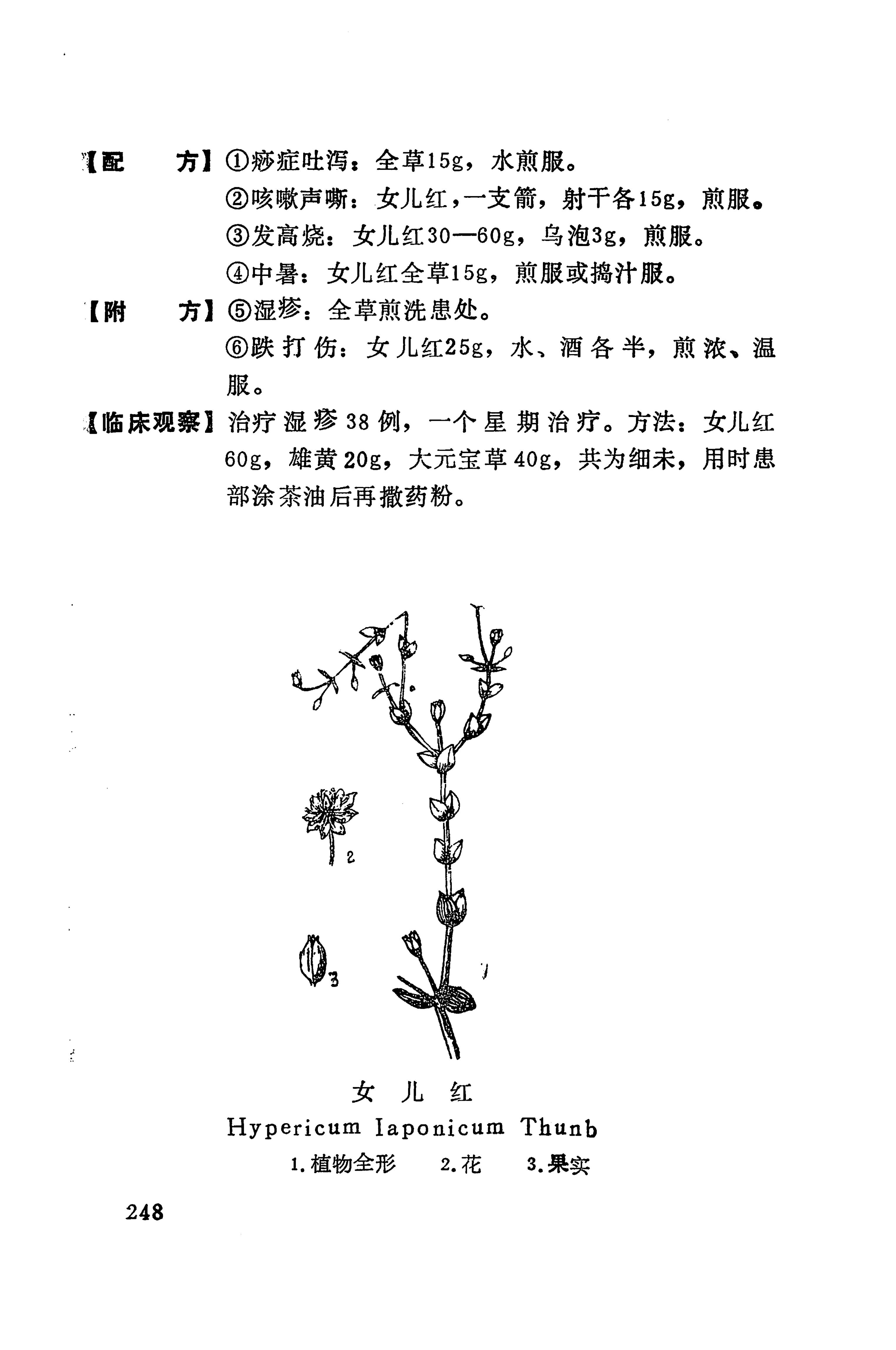 湘西苗药汇编_263.jpg