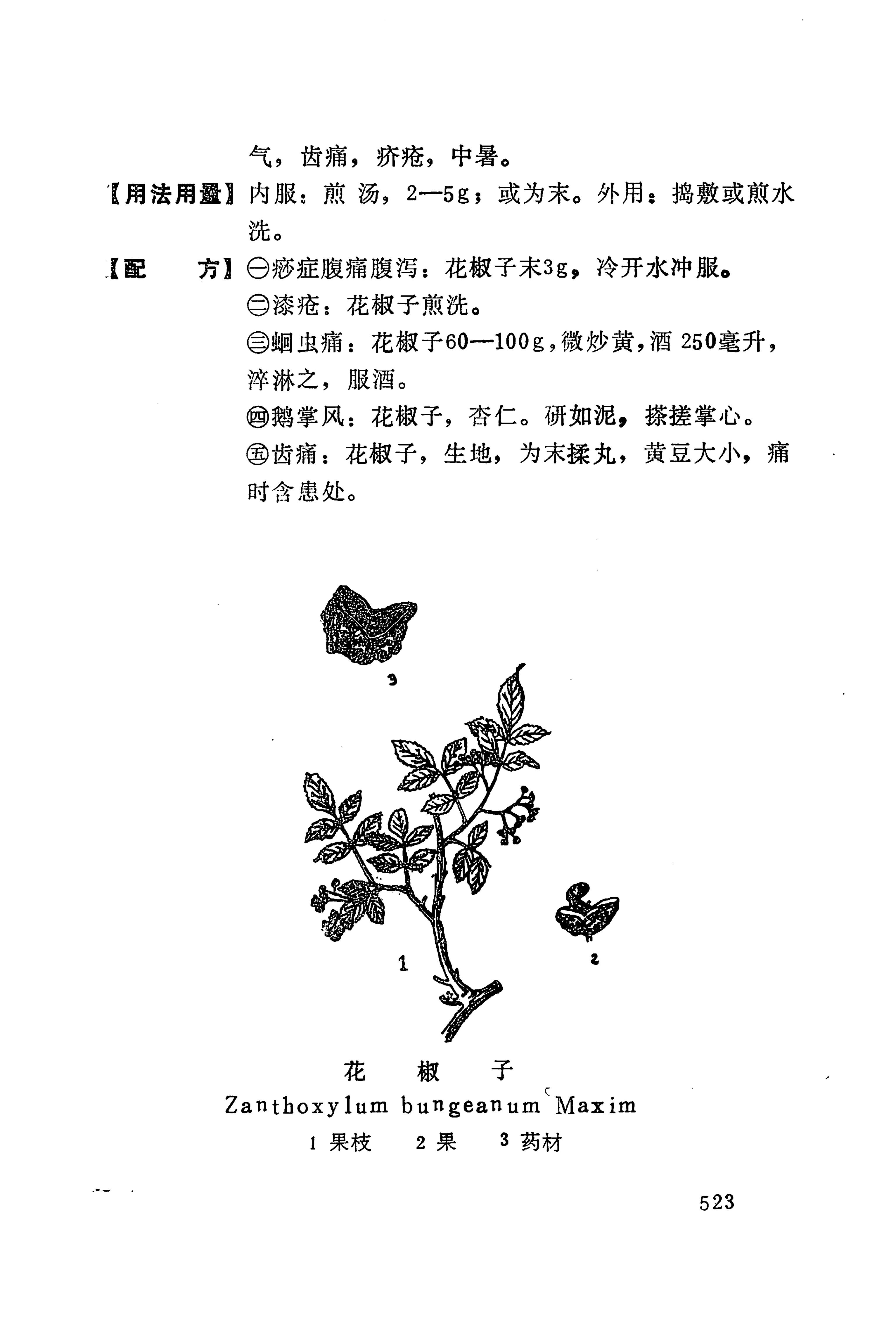 湘西苗药汇编_541.jpg