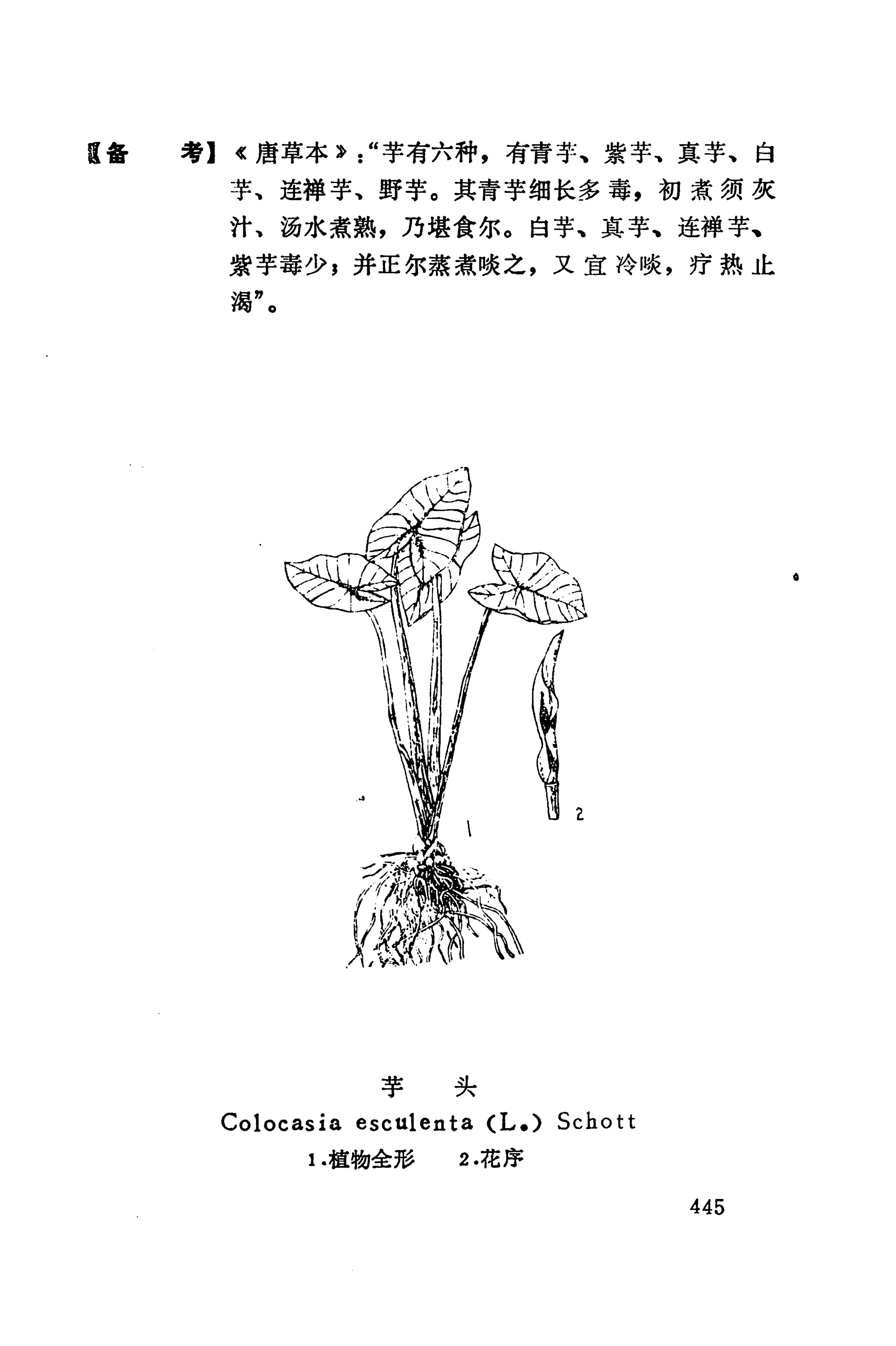 湘西苗药汇编_463.jpg