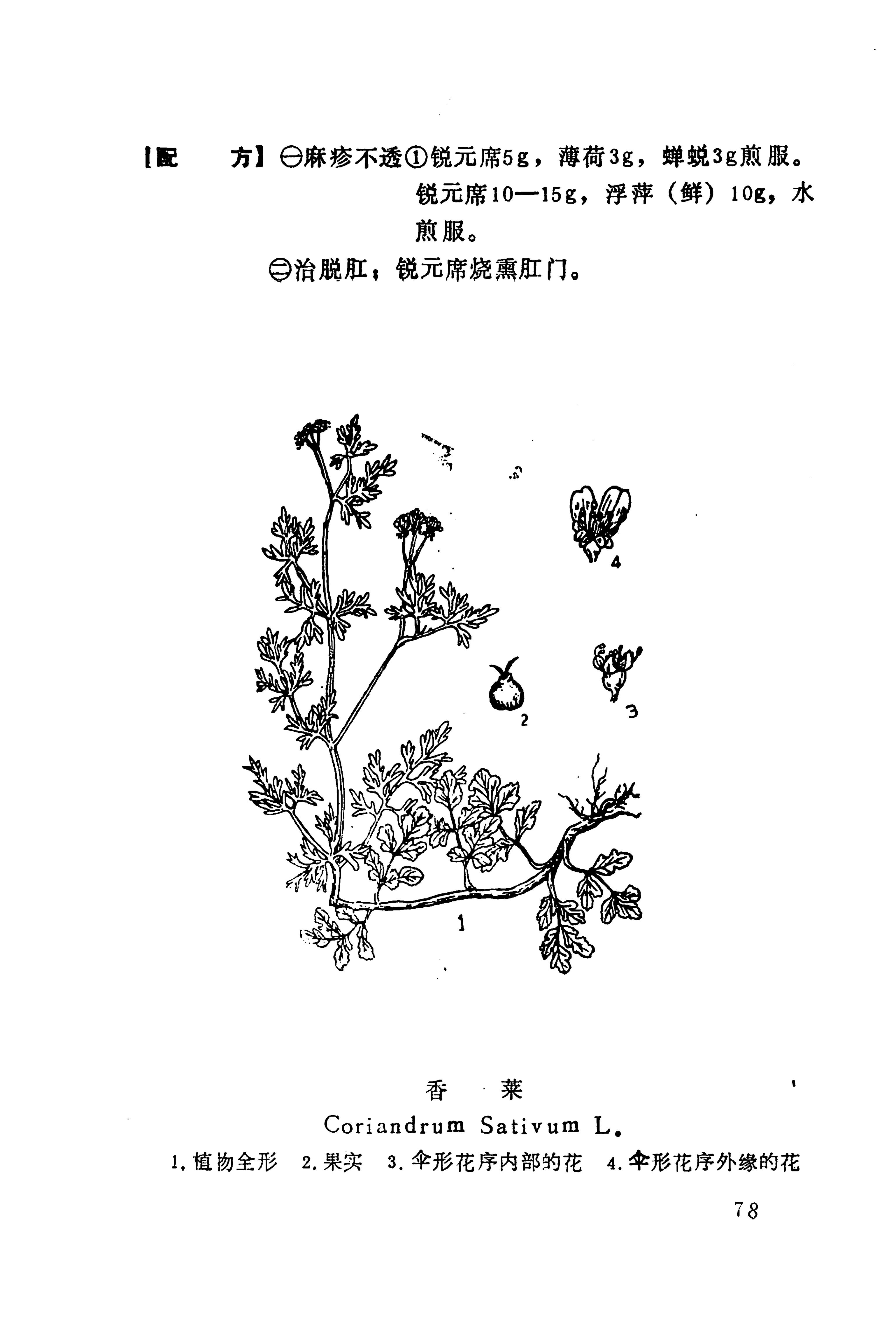 湘西苗药汇编_801.jpg