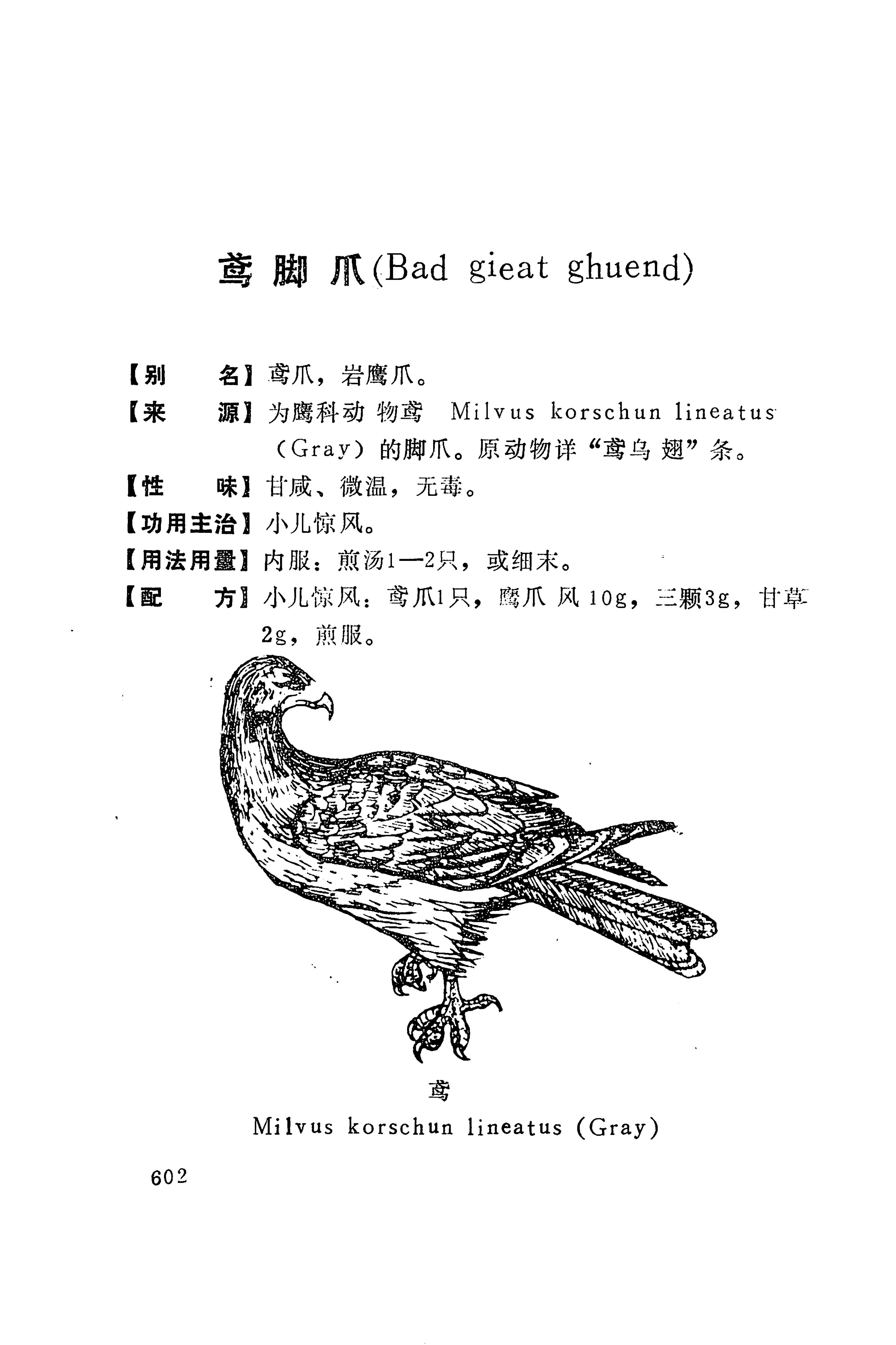 湘西苗药汇编_620.jpg