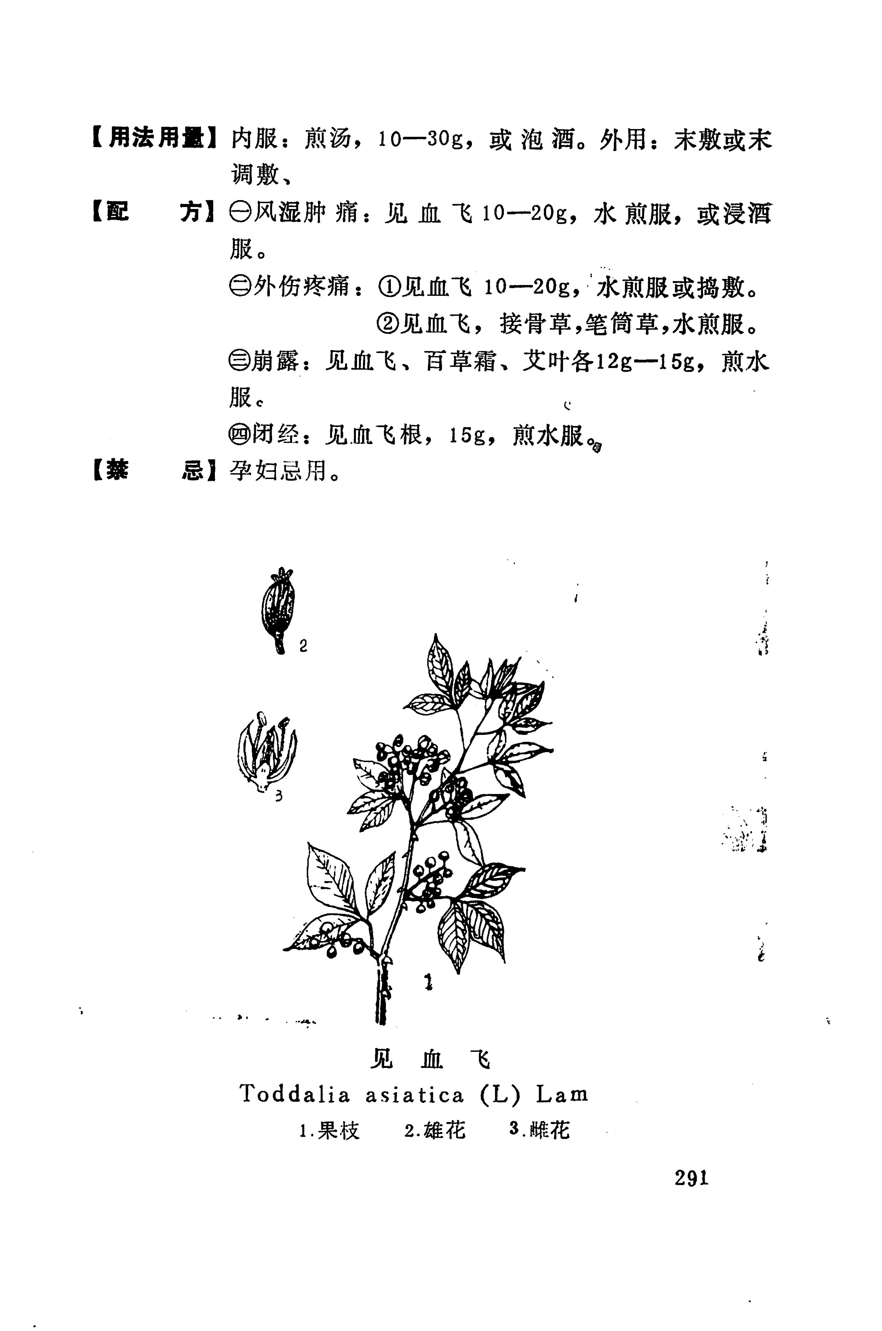 湘西苗药汇编_220.jpg