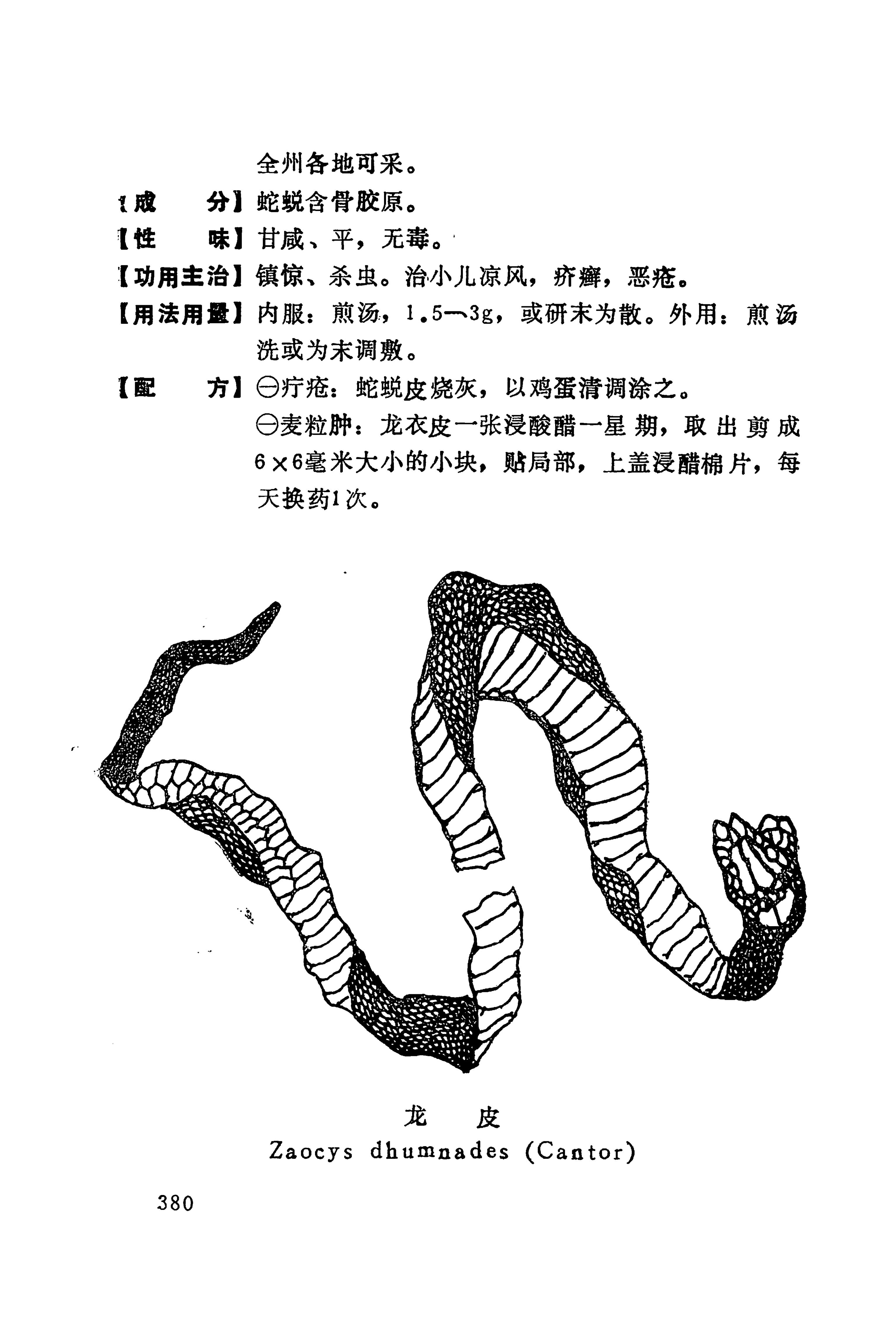 湘西苗药汇编_398.jpg