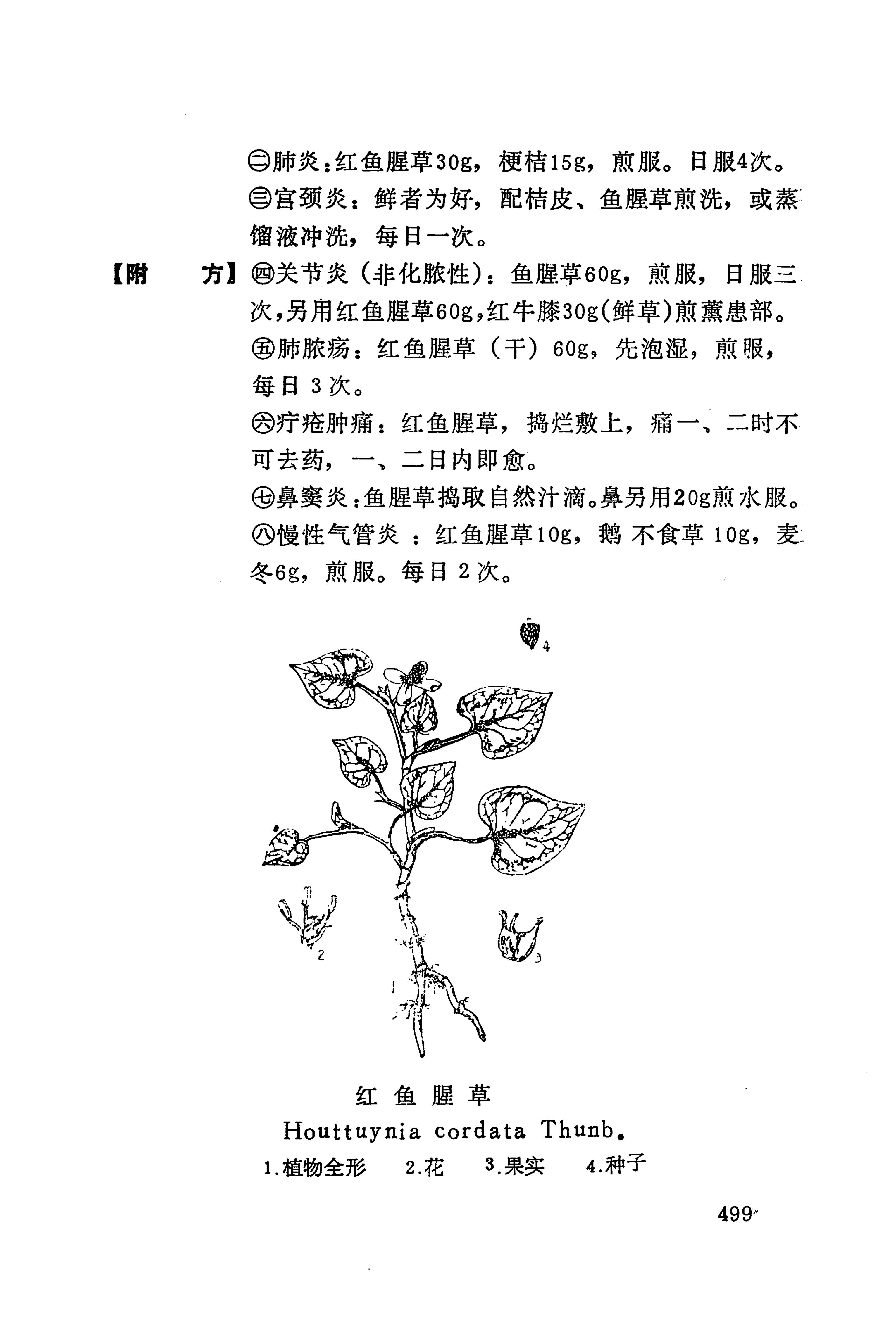 湘西苗药汇编_517.jpg