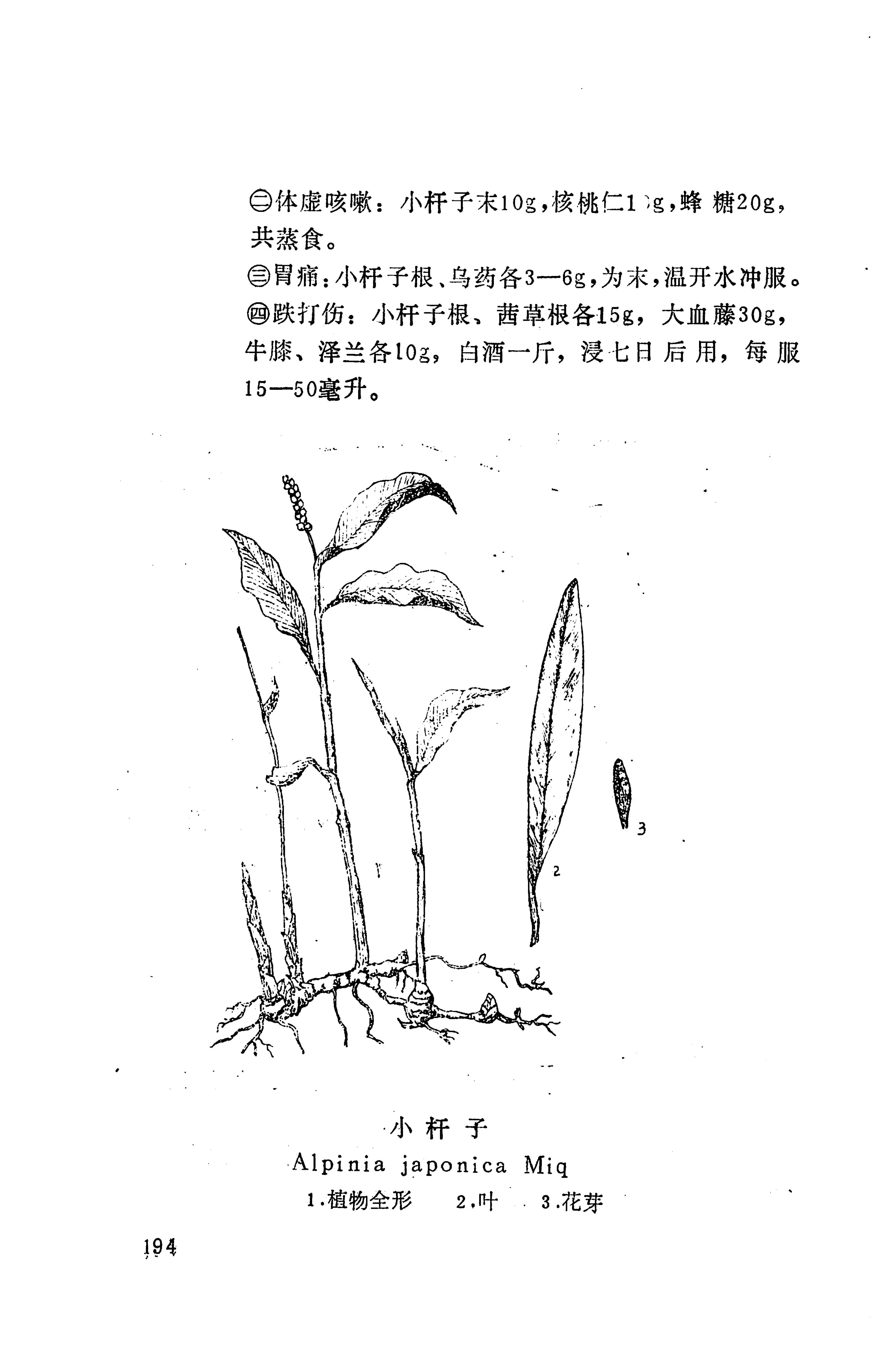 湘西苗药汇编_317.jpg