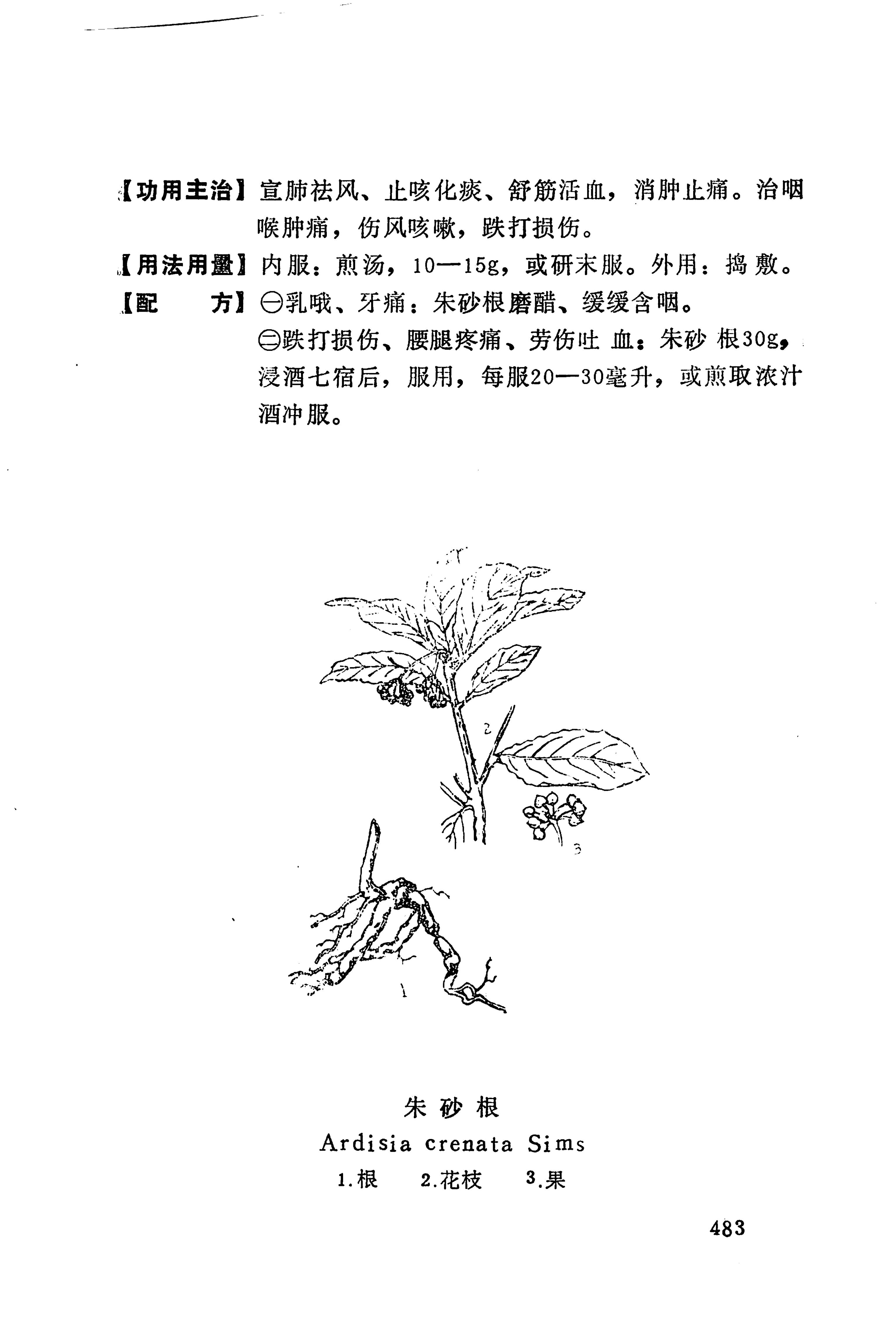 湘西苗药汇编_501.jpg