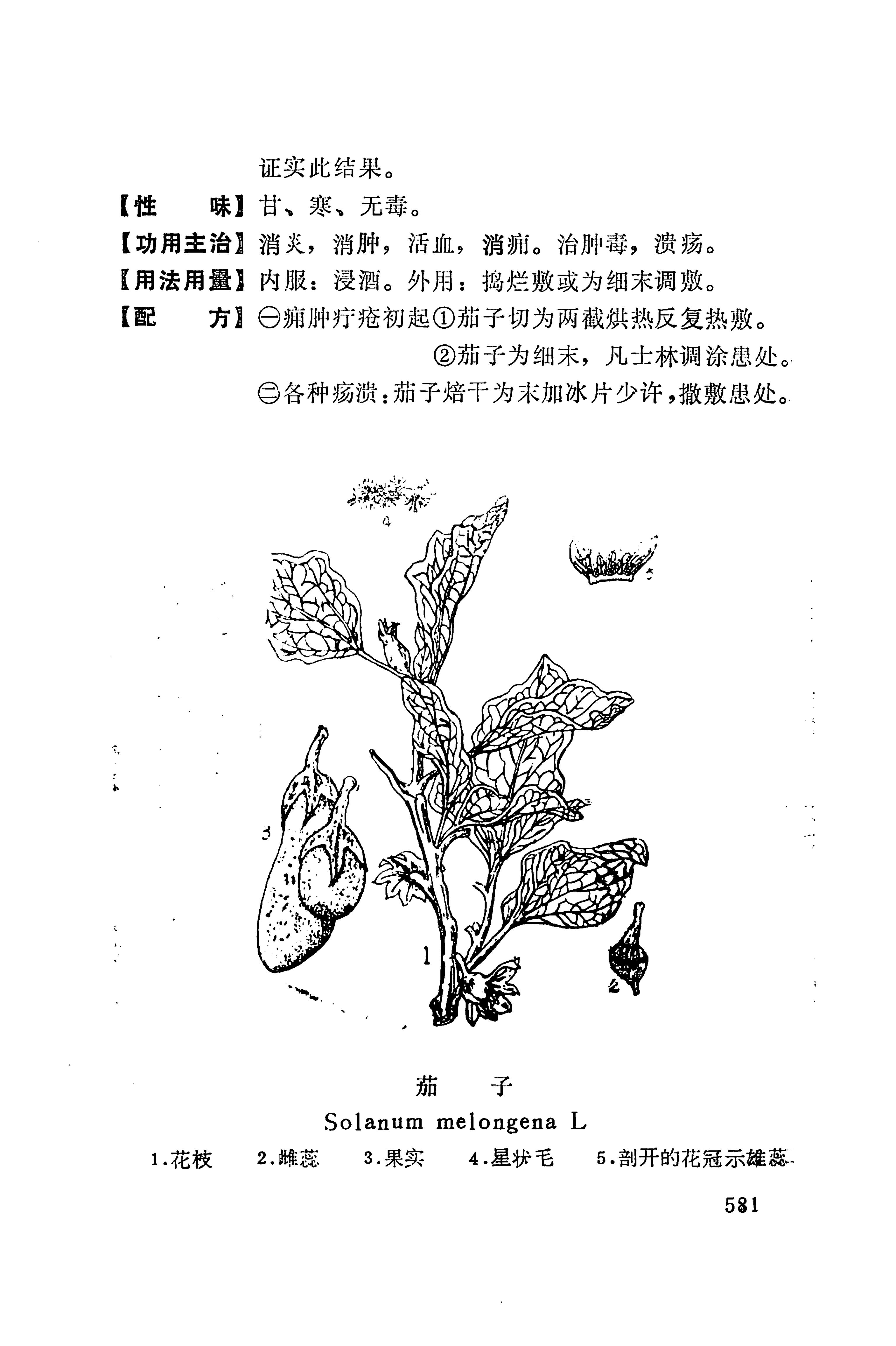 湘西苗药汇编_599.jpg