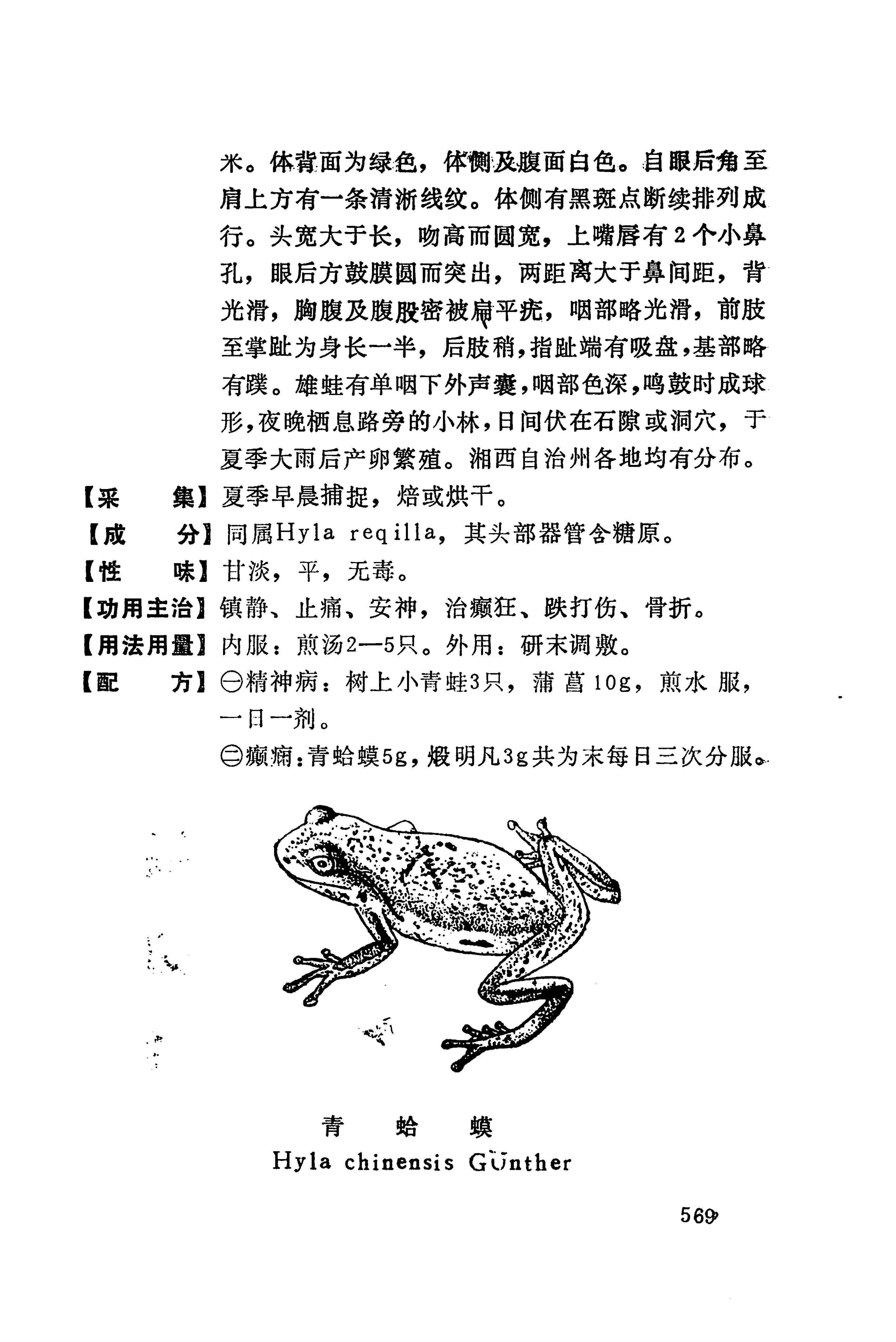 湘西苗药汇编_587.jpg