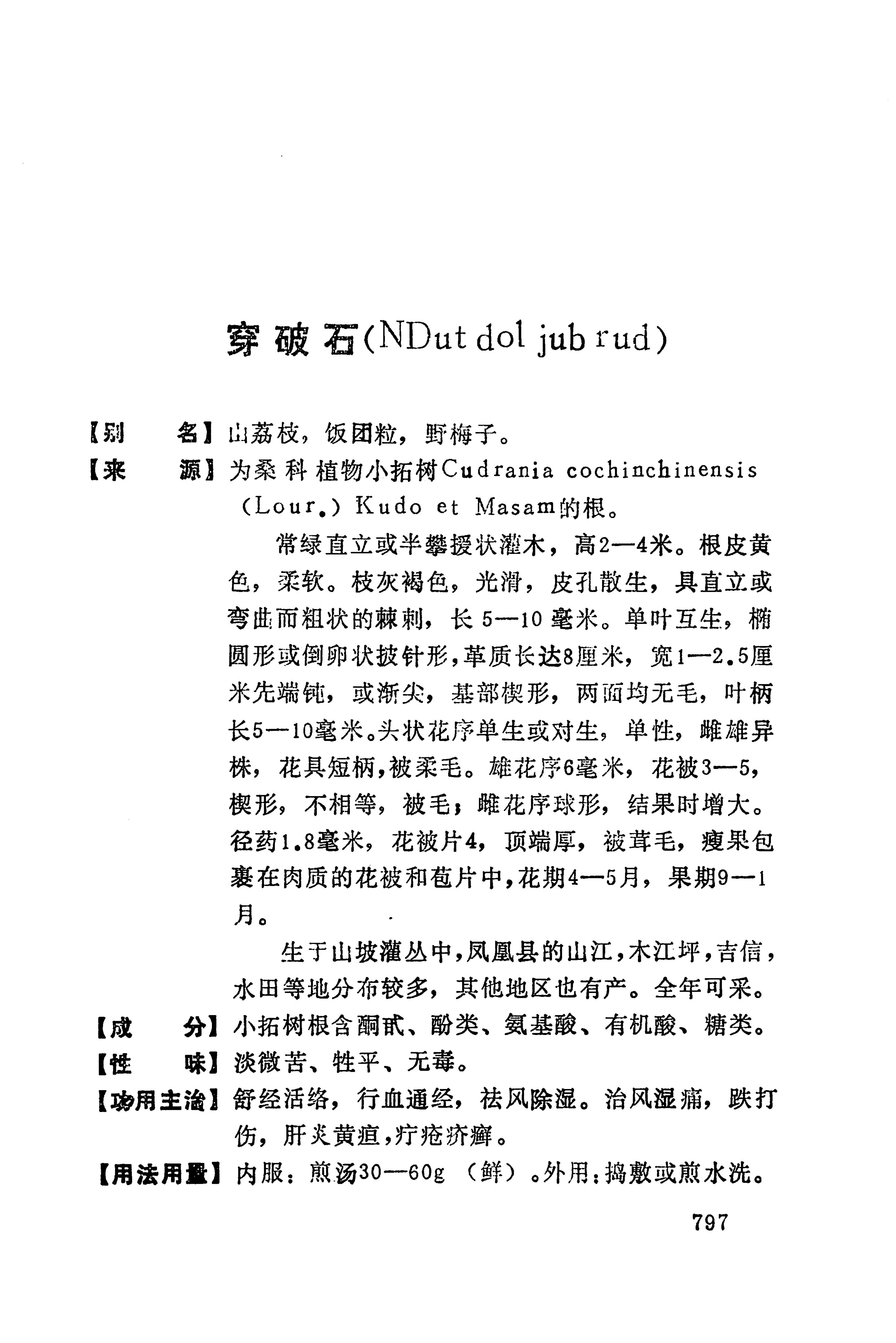 湘西苗药汇编_815.jpg