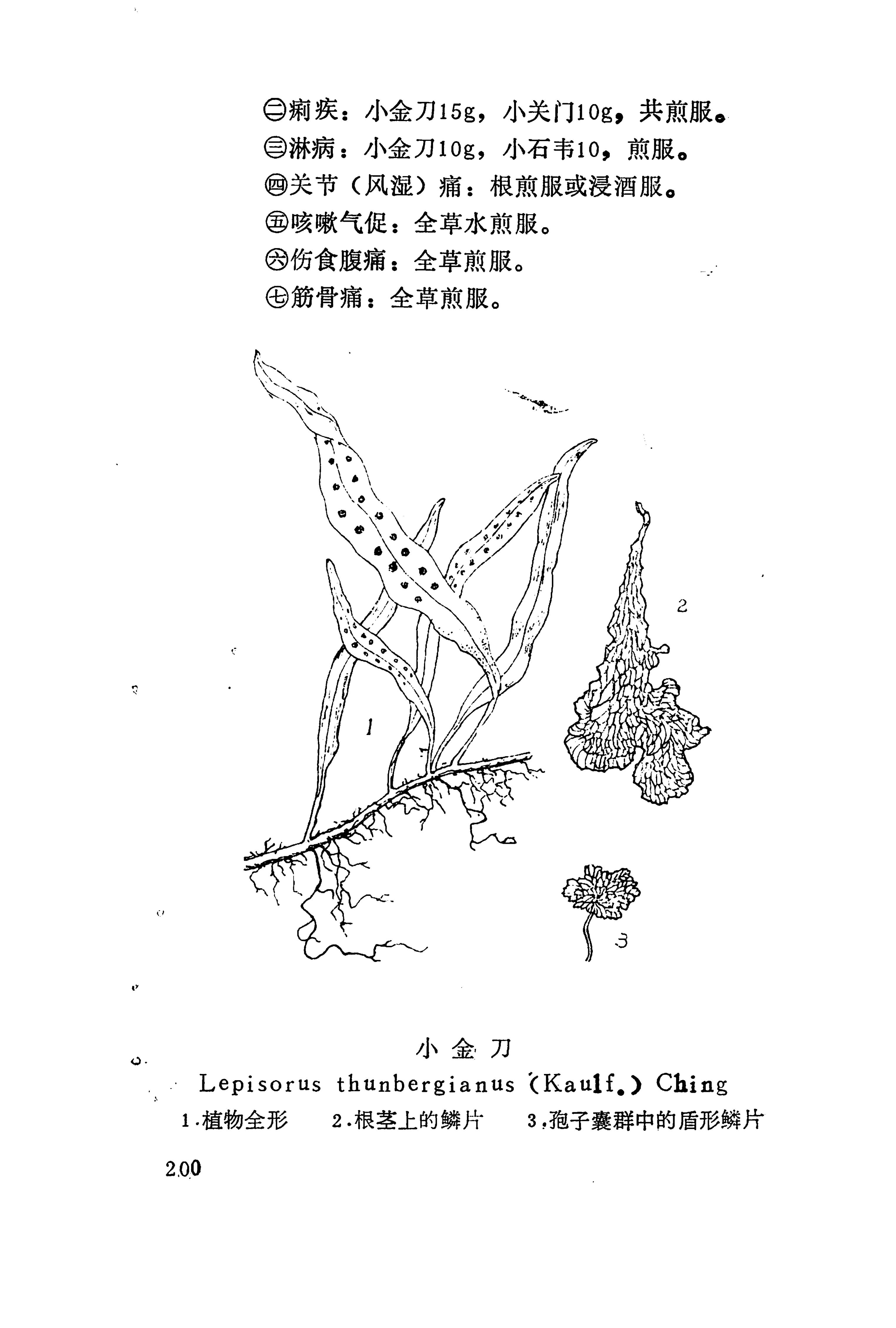 湘西苗药汇编_311.jpg