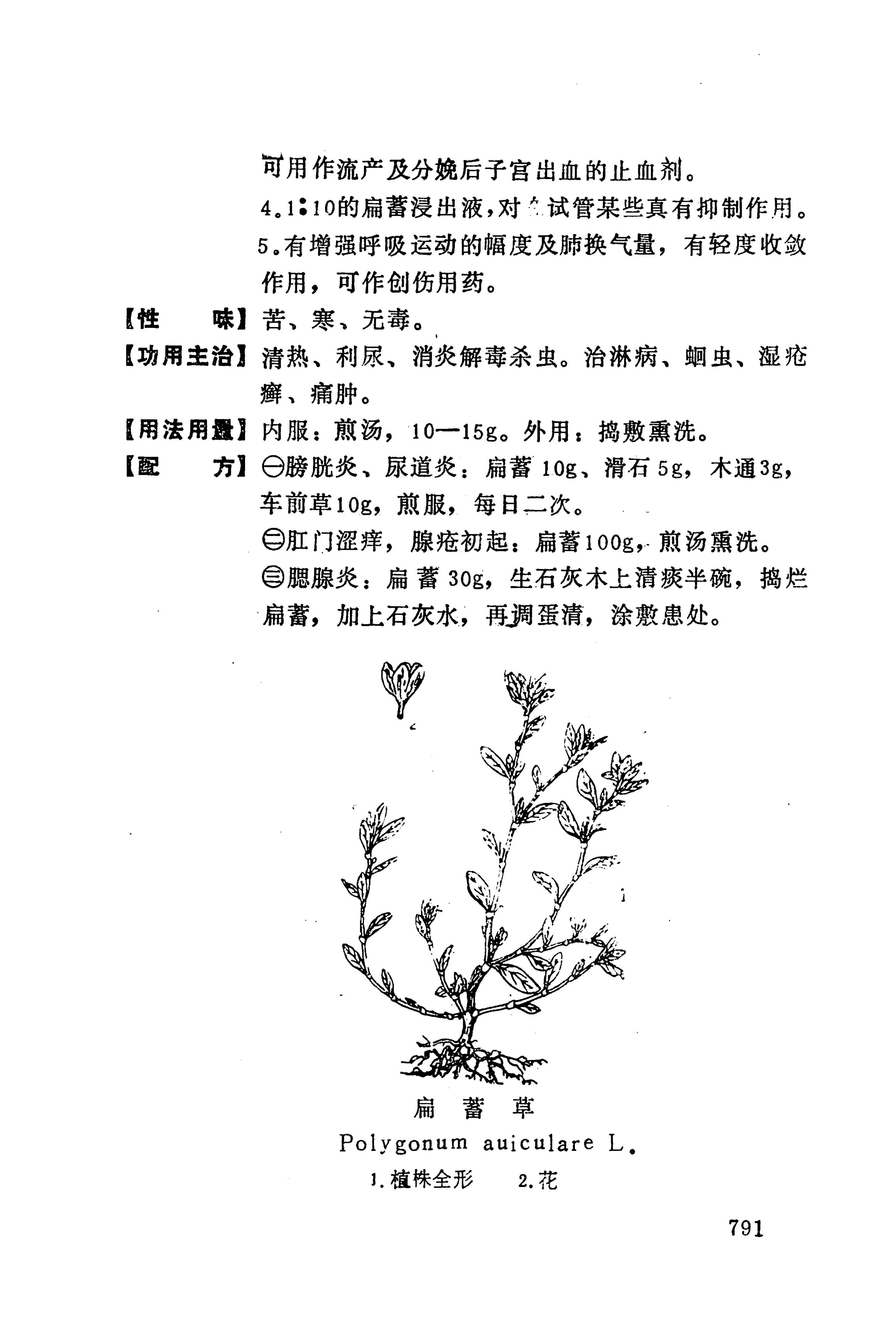 湘西苗药汇编_809.jpg